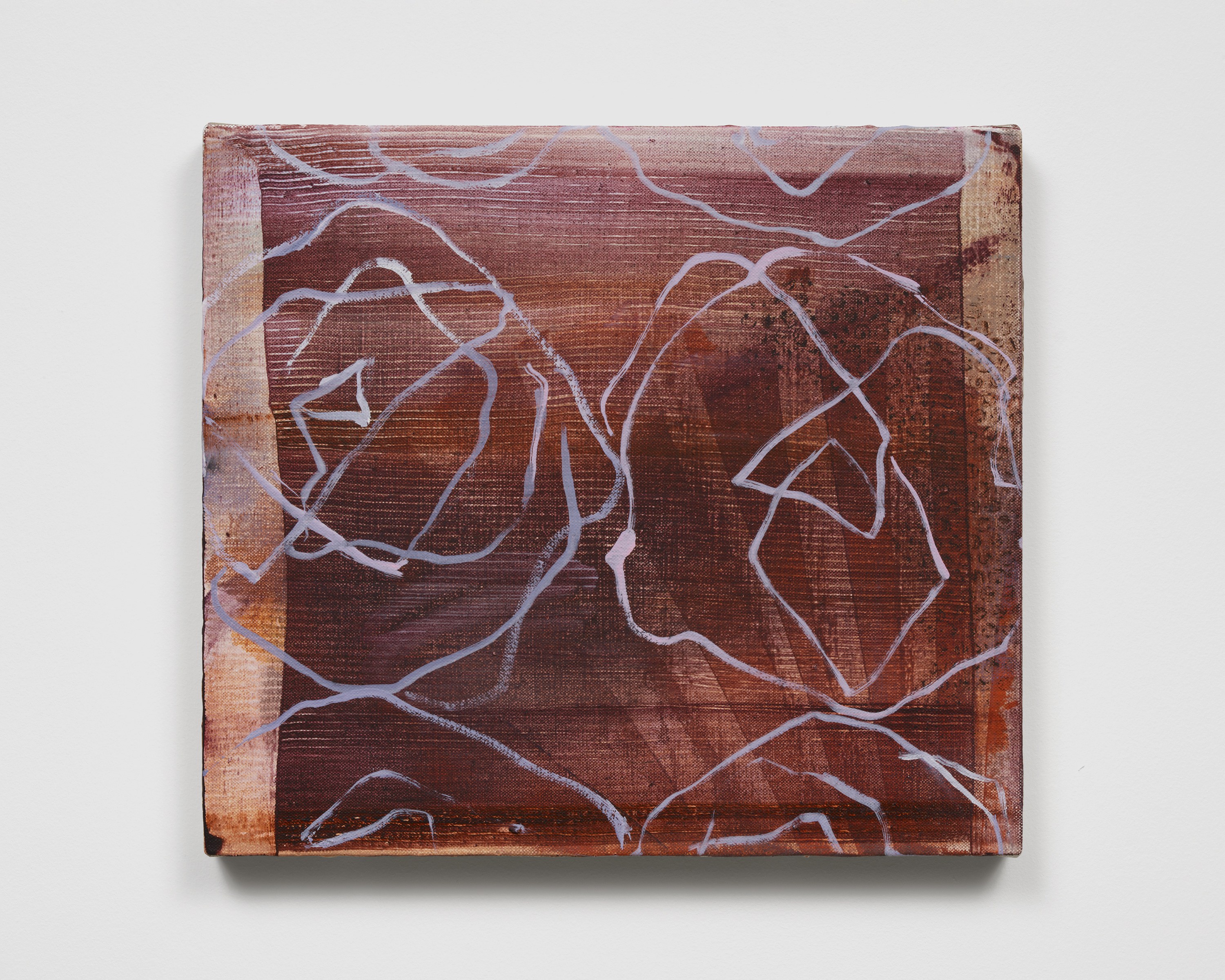 Emma McIntyre, Aragonite and conchiolin at Château Shatto, photo 18