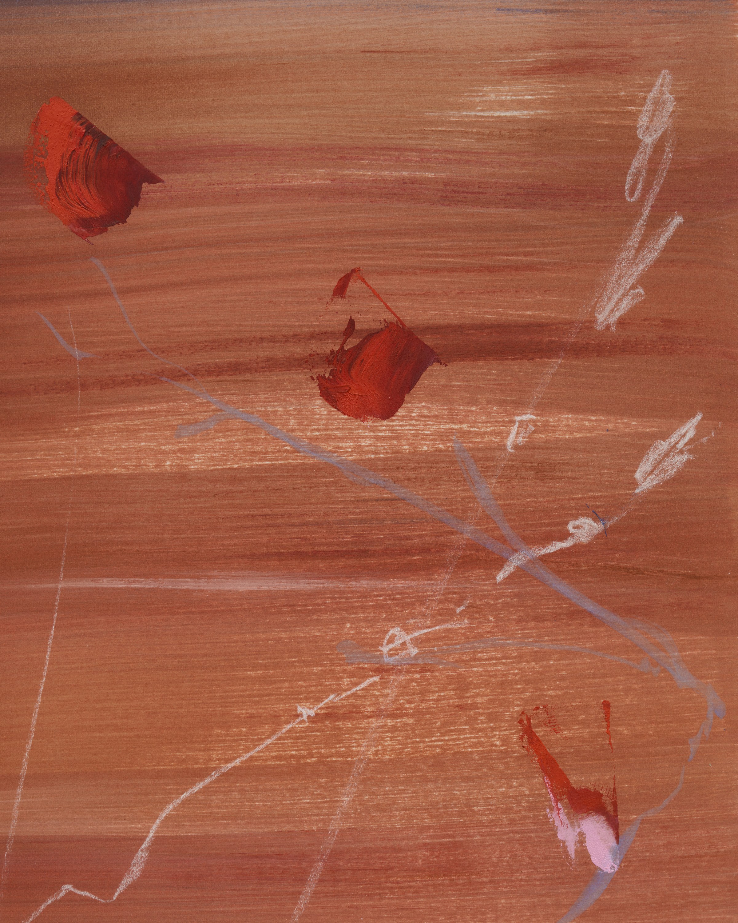 Emma McIntyre, Aragonite and conchiolin at Château Shatto, photo 27