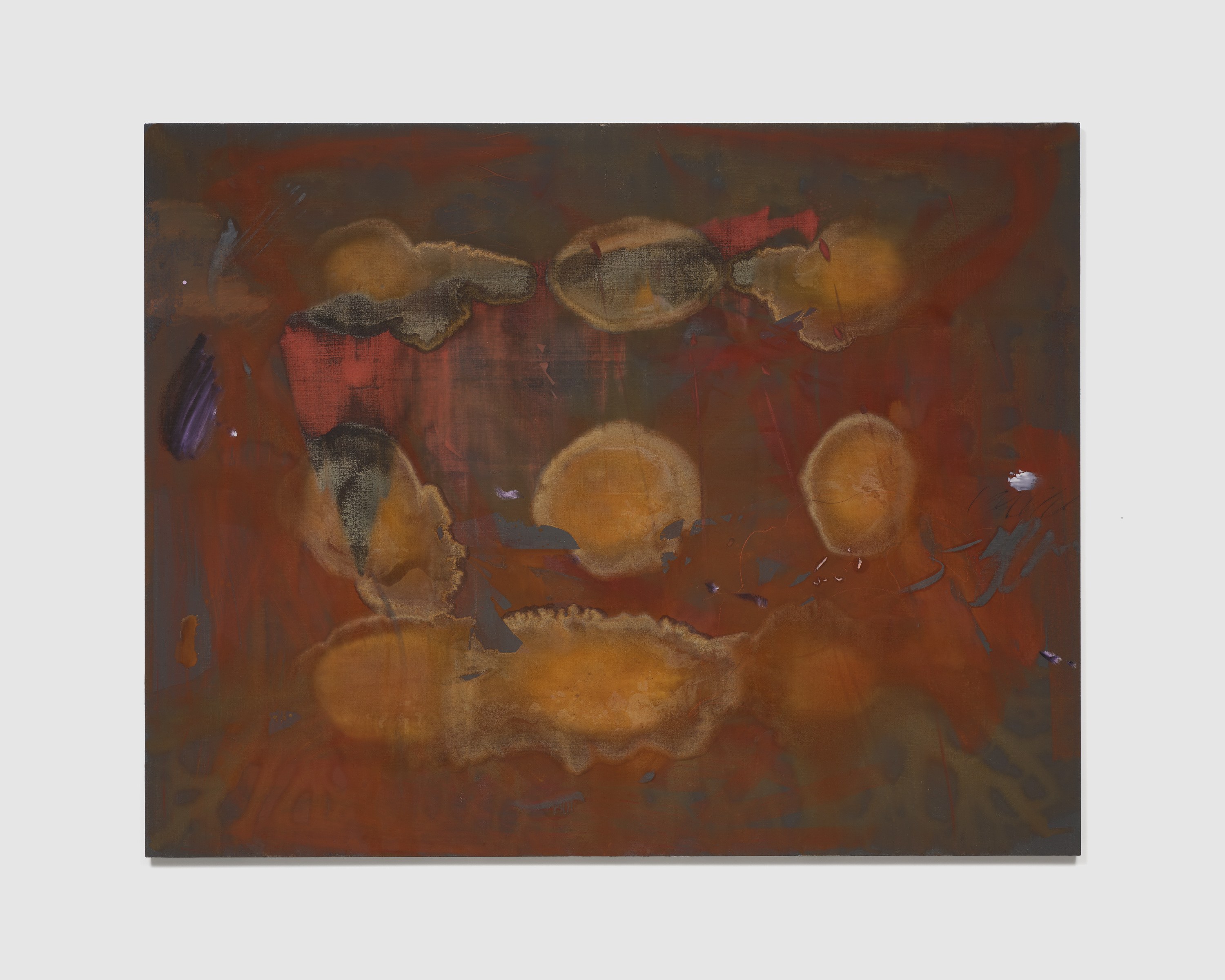 Emma McIntyre, Aragonite and conchiolin at Château Shatto, photo 34