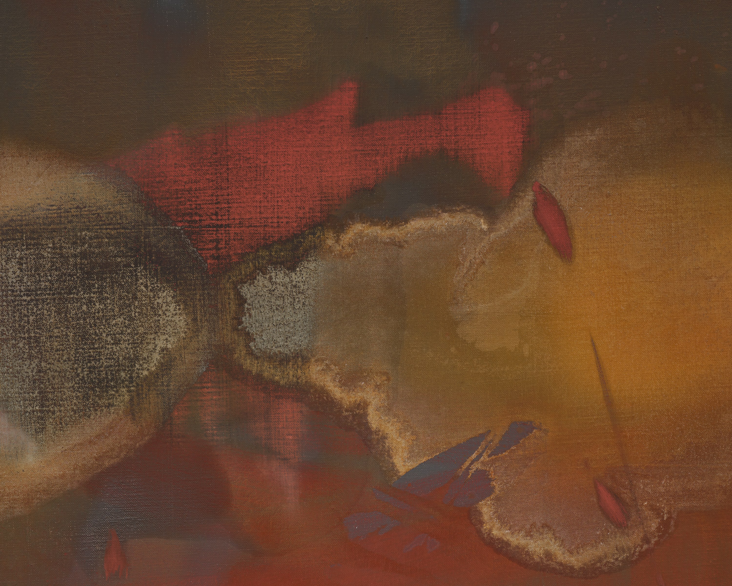 Emma McIntyre, Aragonite and conchiolin at Château Shatto, photo 35