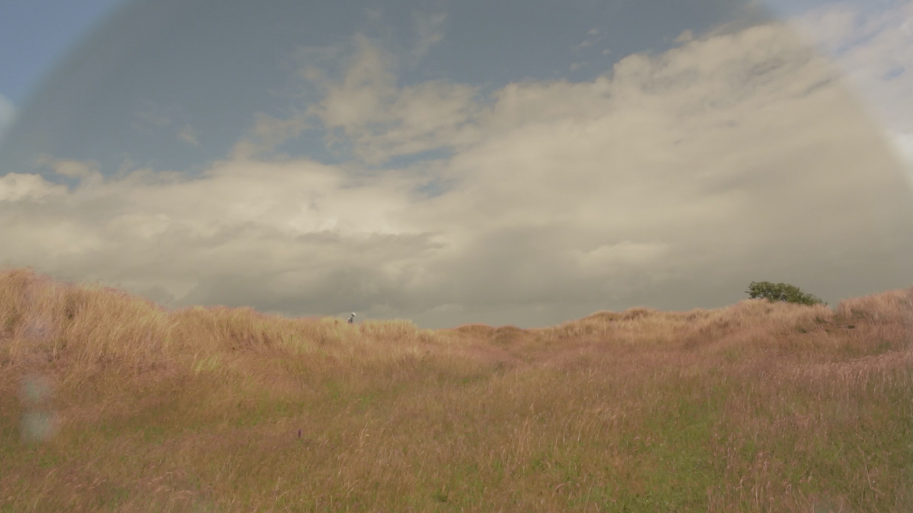 John Smith, image 13 of 15