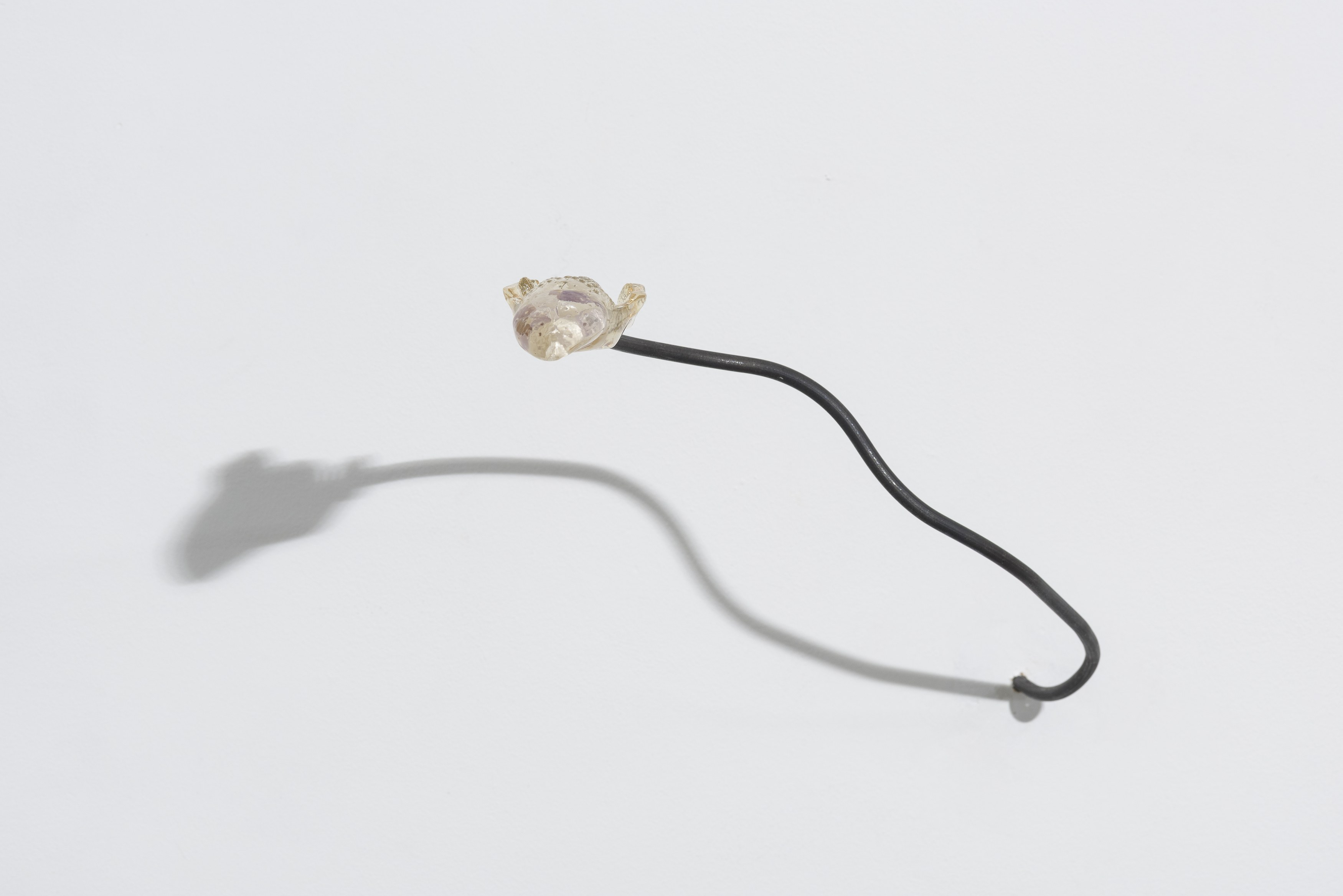 Mariechen Danz, Xie Lei, Carriers at alexander levy, Berlin and LEVY Galerie, Berlin, photo 14
