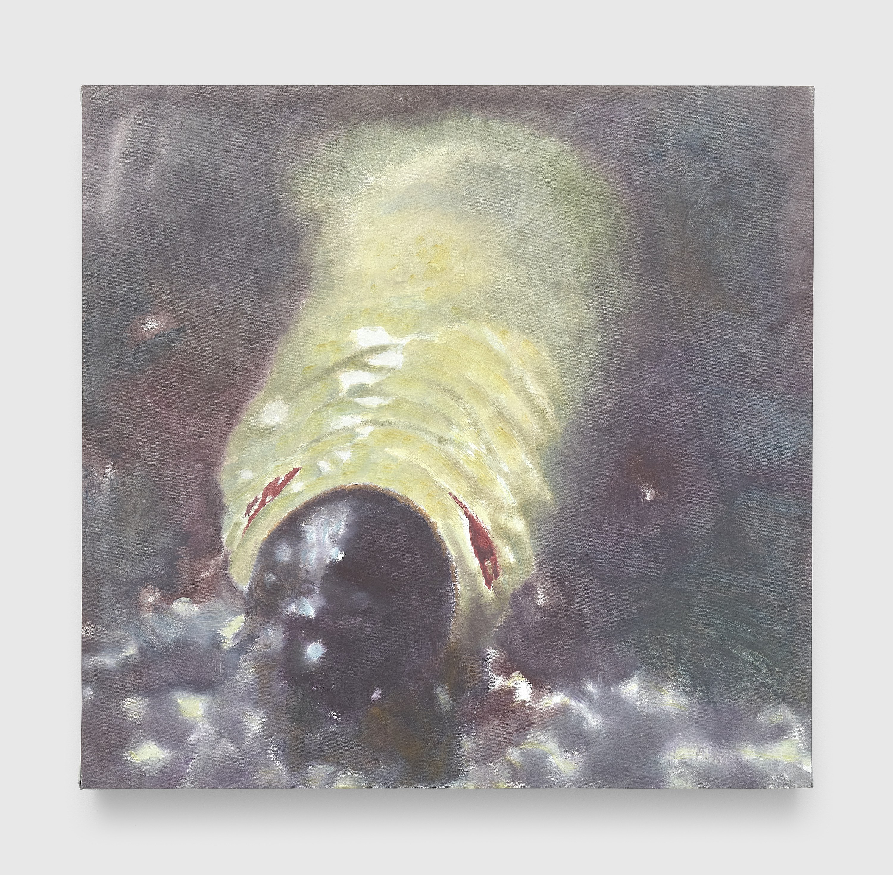 Luc Tuymans, The Fruit Basket at Josh Smith Studio, Brooklyn, photo 15