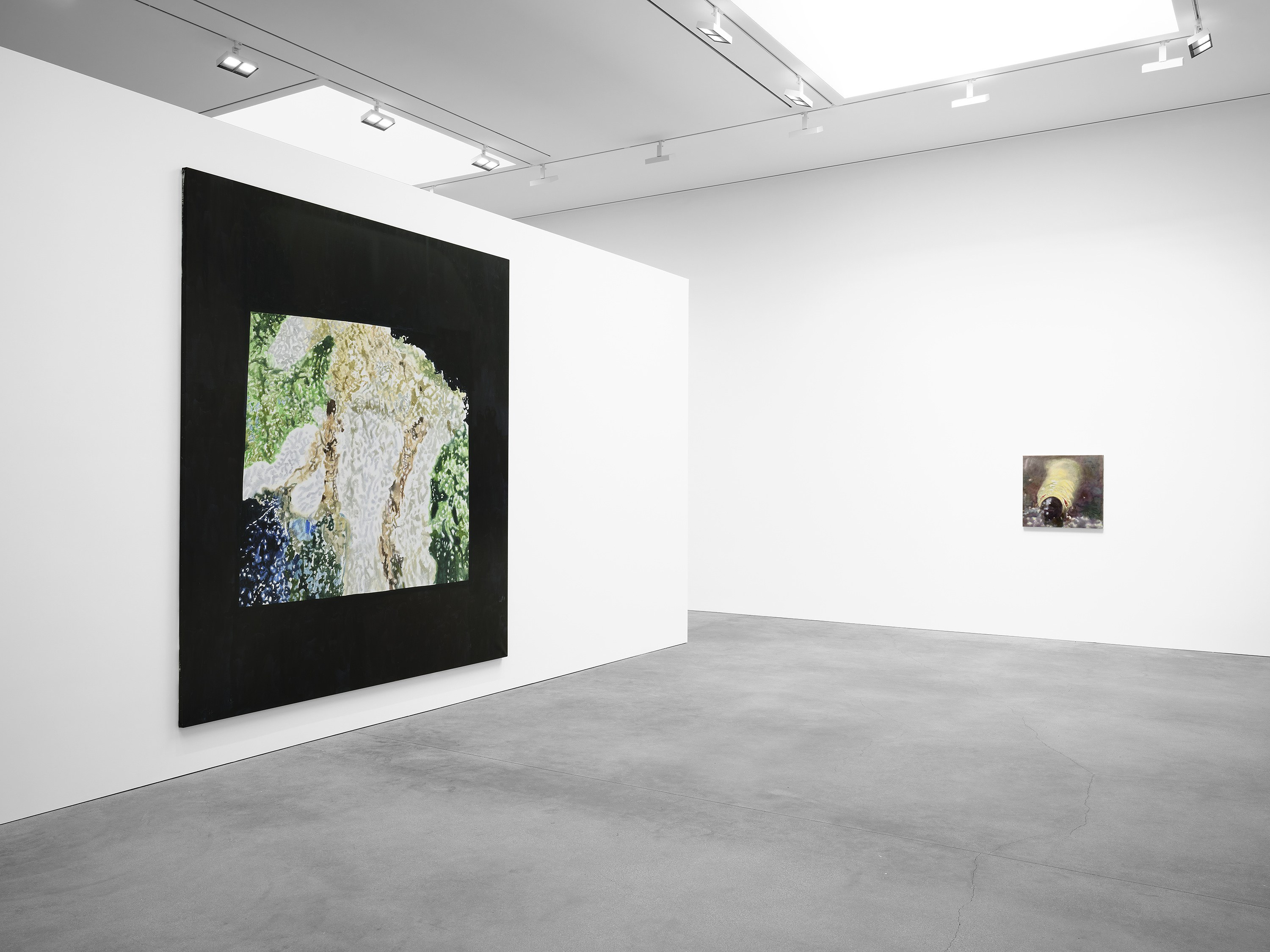 Luc Tuymans, The Fruit Basket at Josh Smith Studio, Brooklyn, photo 9