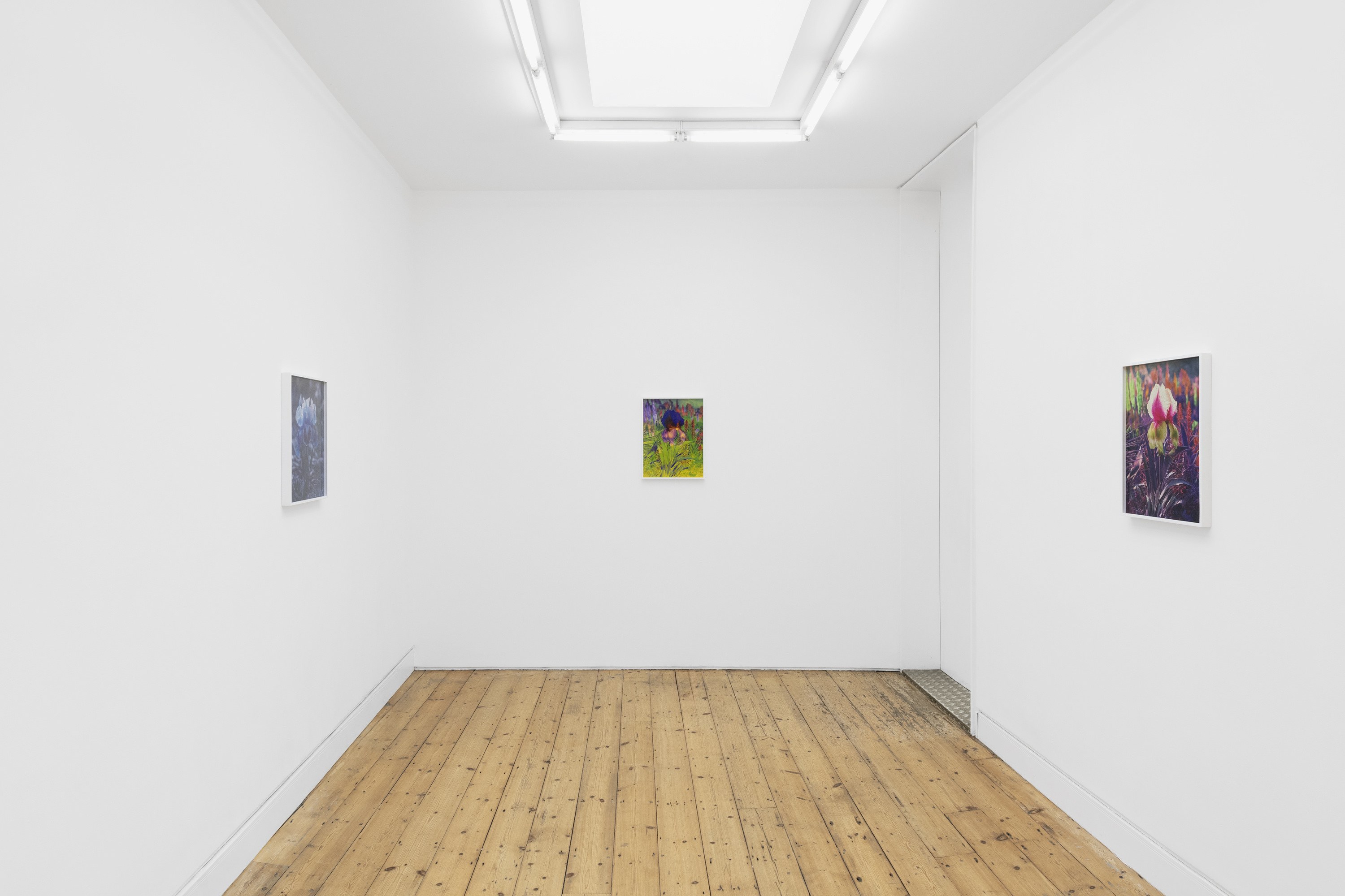 Lisa Oppenheim, image 7 of 25