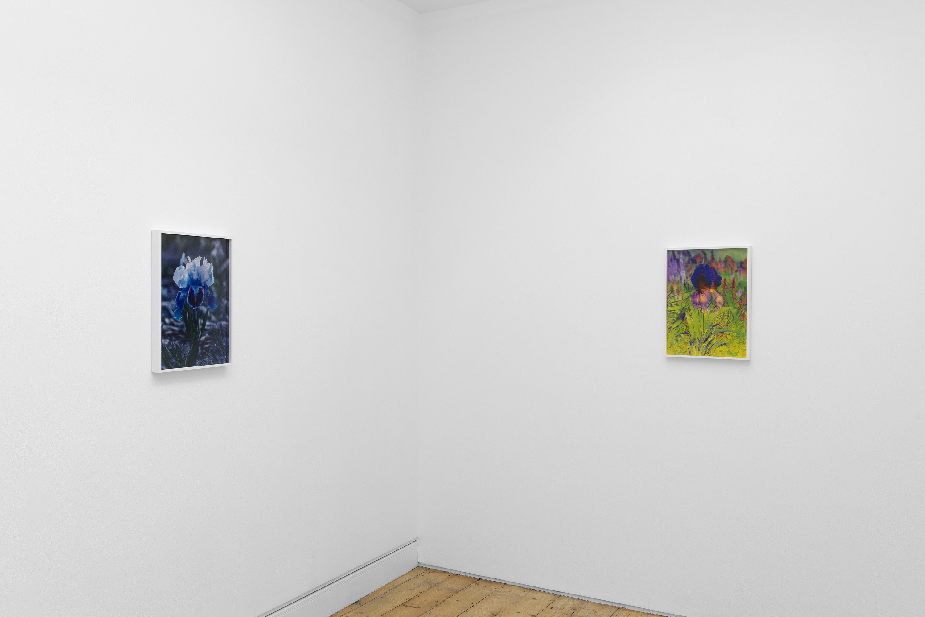 Lisa Oppenheim, image 6 of 25