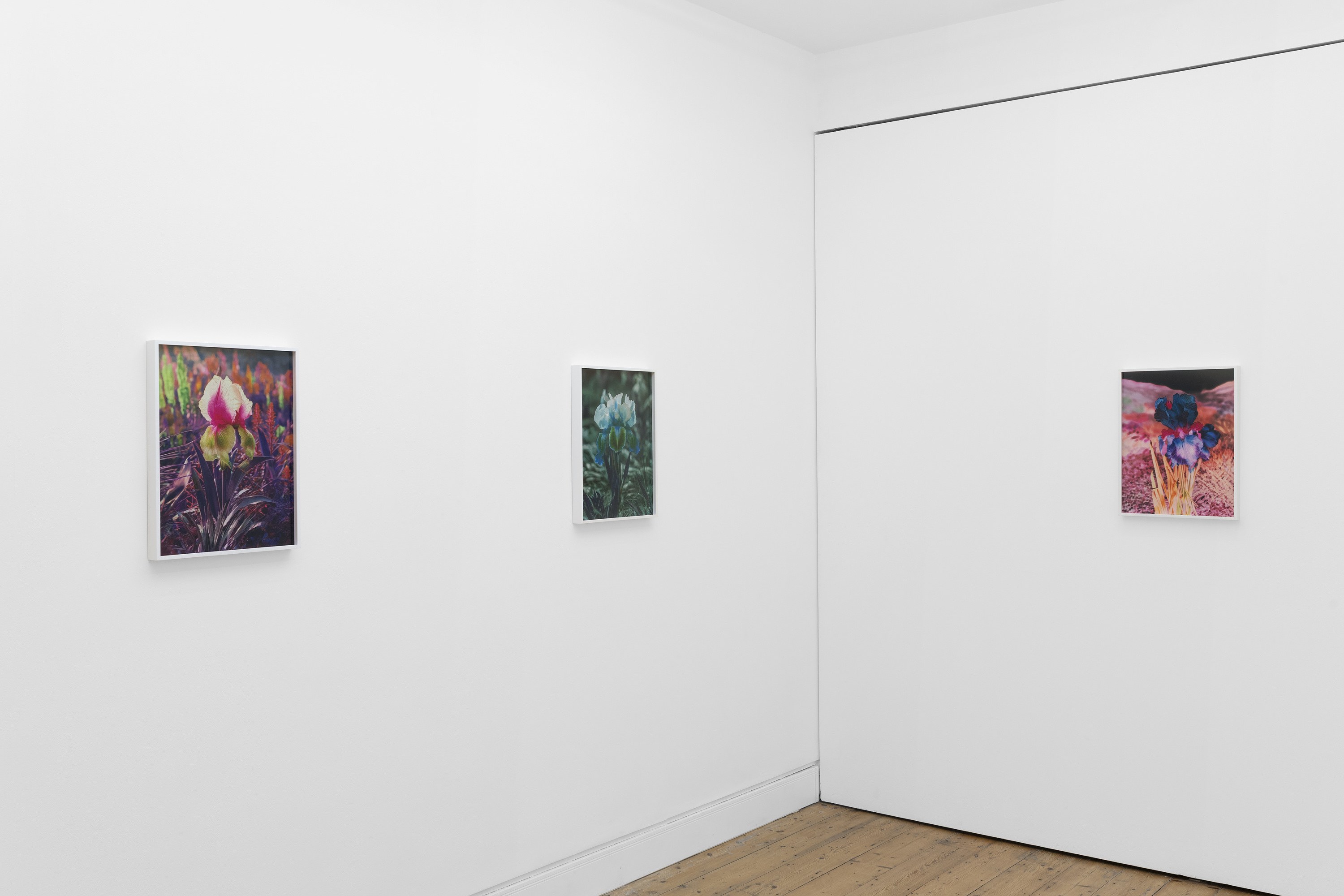 Lisa Oppenheim, image 3 of 25