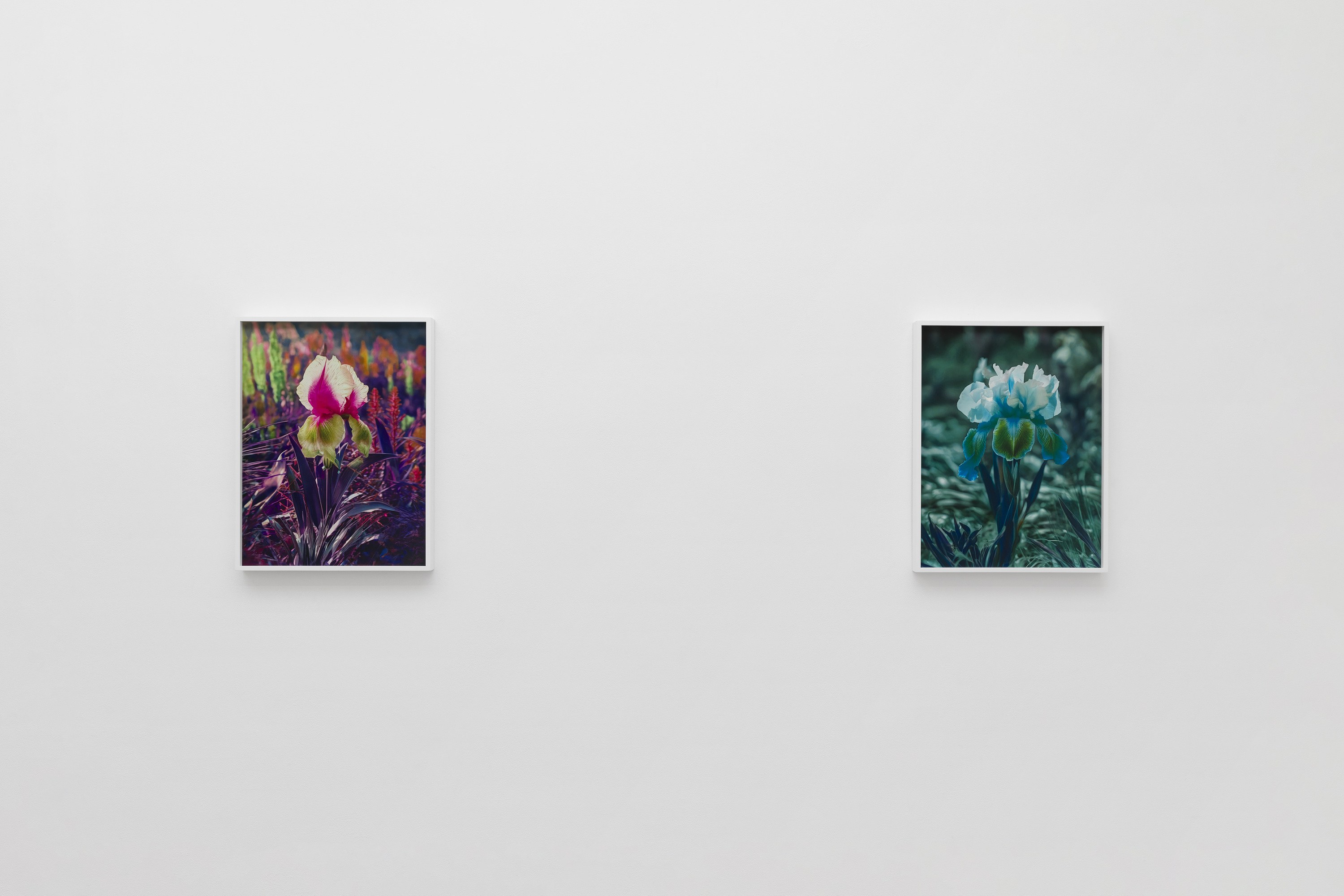 Lisa Oppenheim, image 2 of 25
