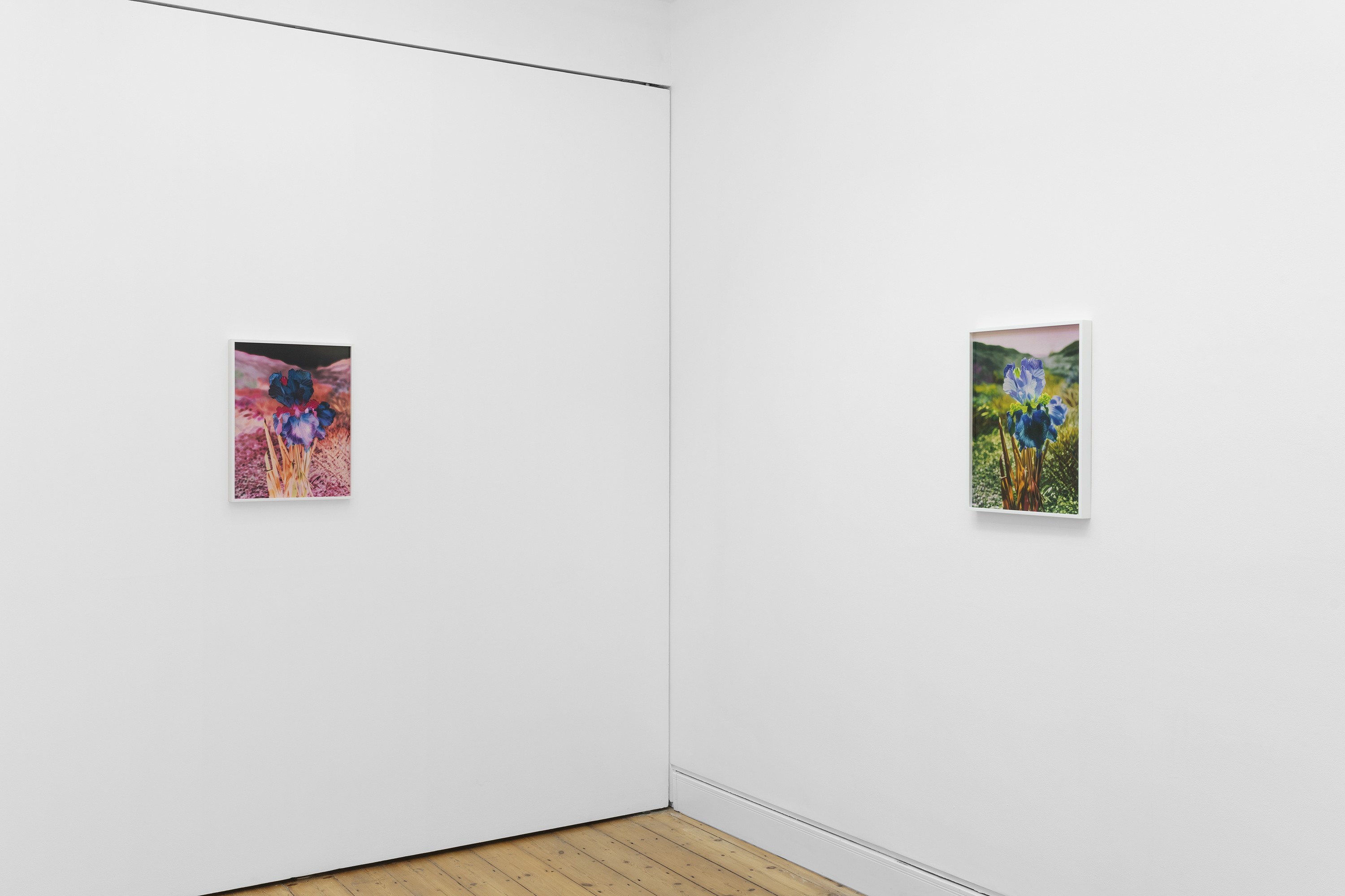 Lisa Oppenheim, image 4 of 25