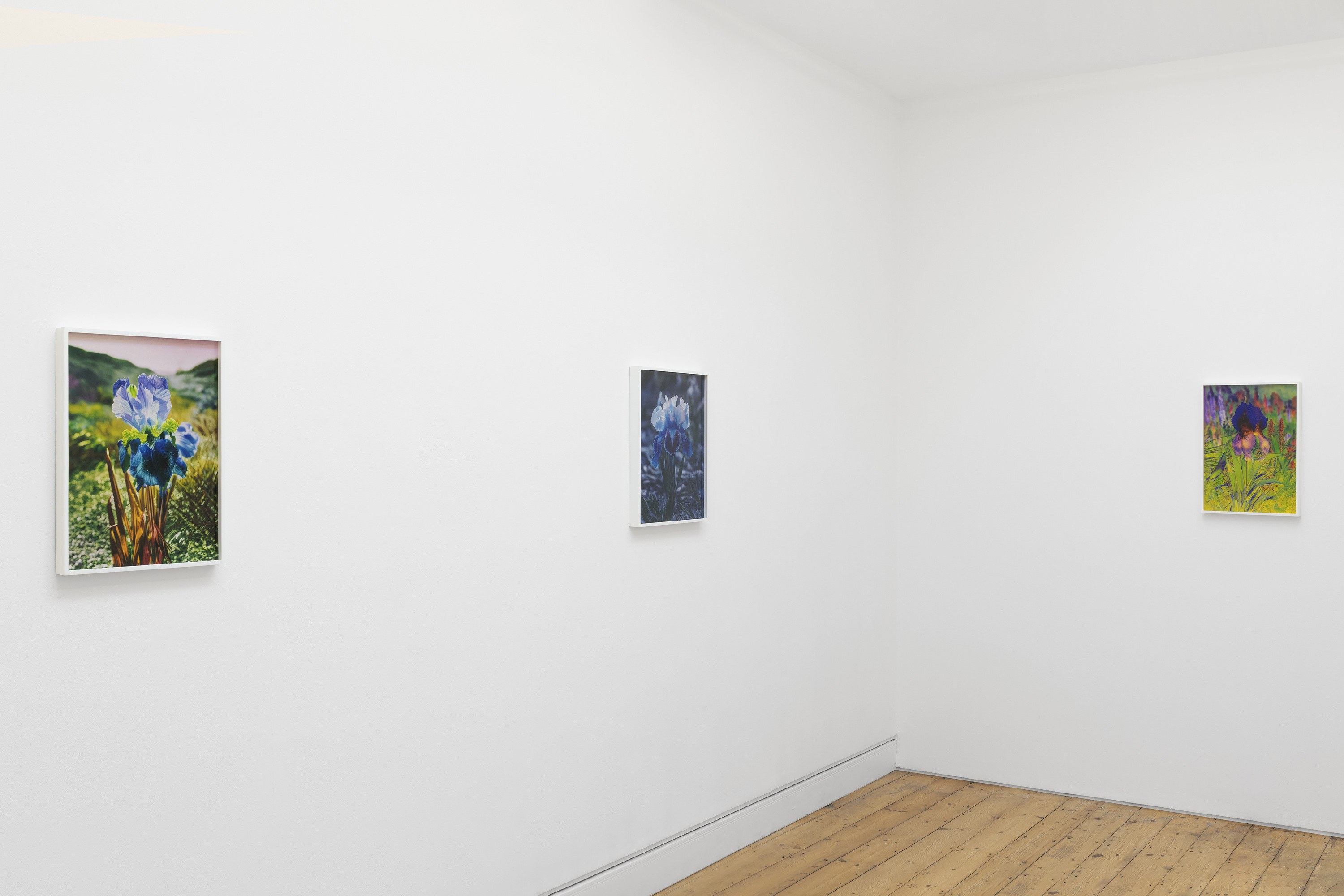 Lisa Oppenheim, image 5 of 25
