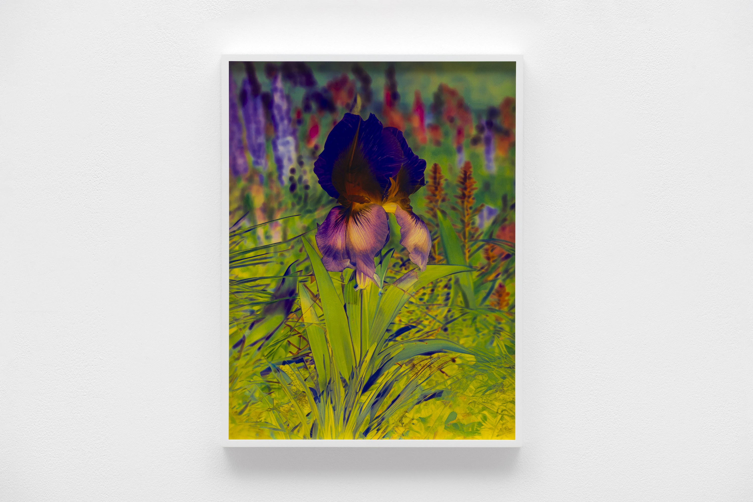 Lisa Oppenheim, image 17 of 25