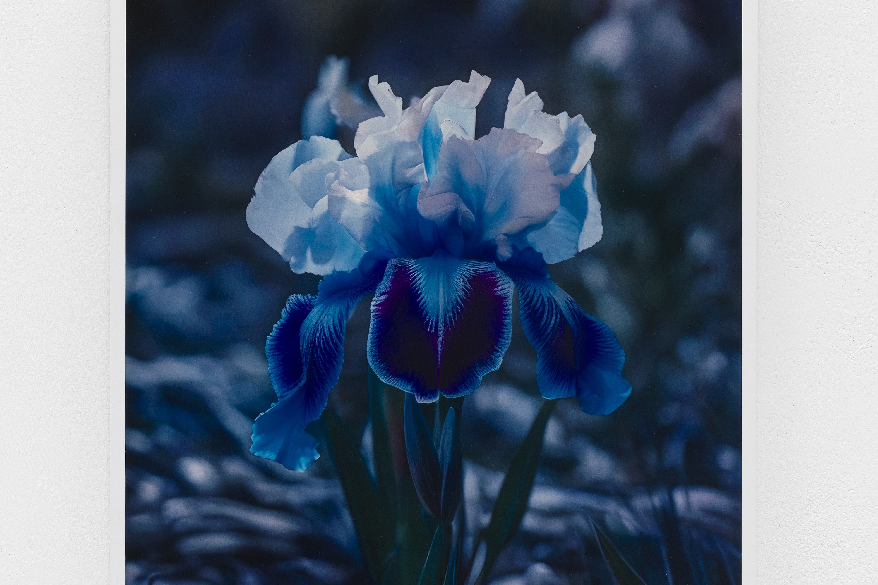 Lisa Oppenheim, image 16 of 25