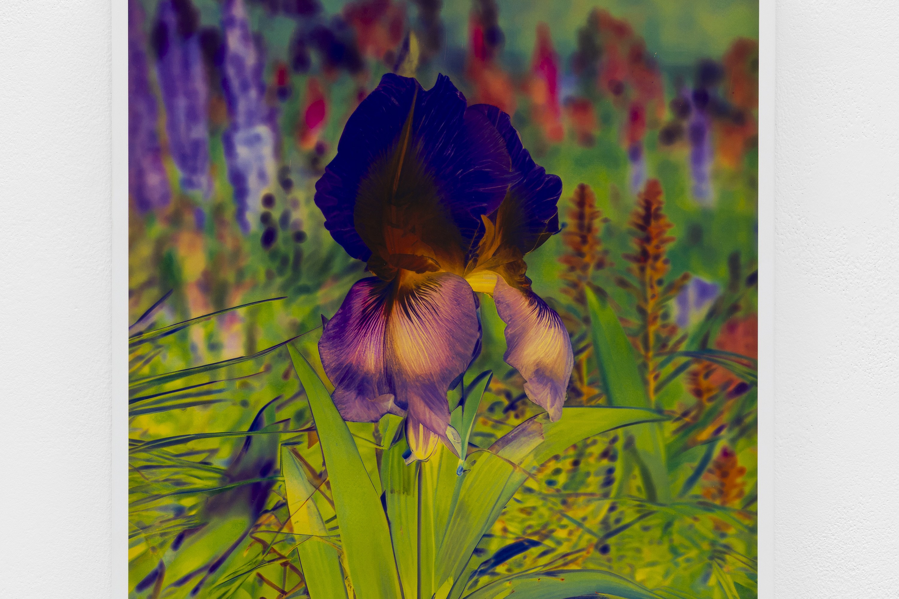 Lisa Oppenheim, image 19 of 25