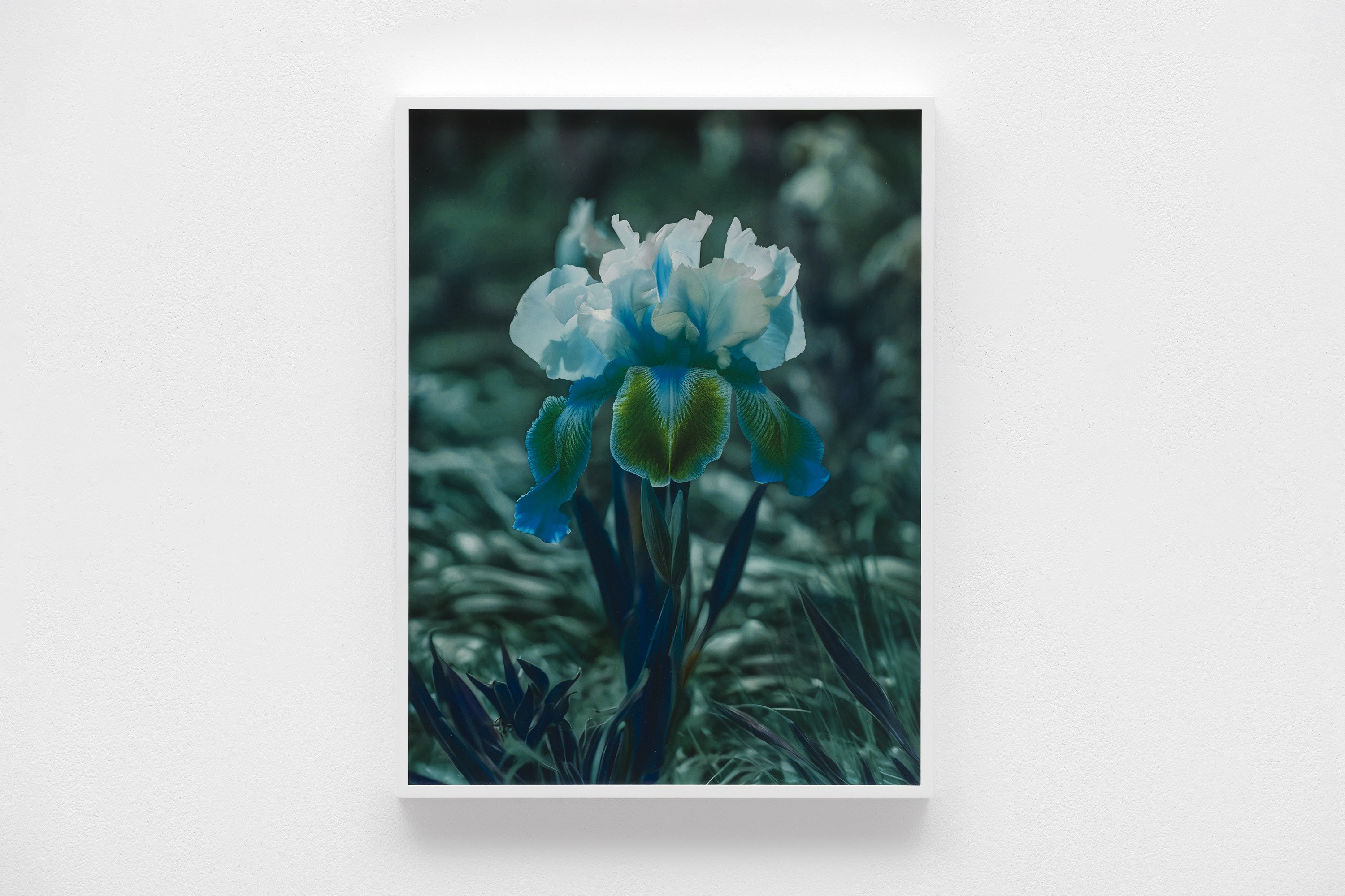 Lisa Oppenheim, image 23 of 25