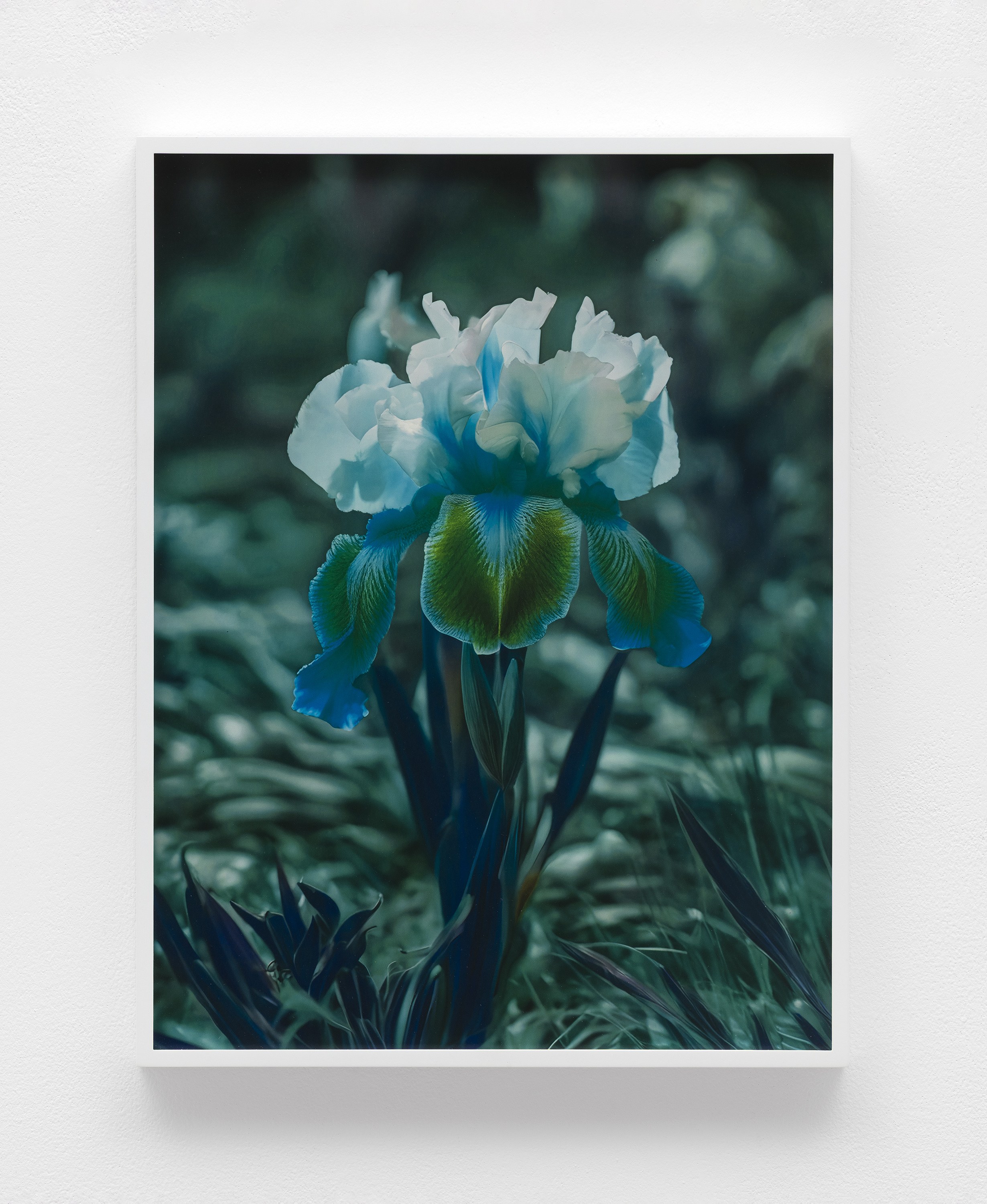 Lisa Oppenheim, image 24 of 25