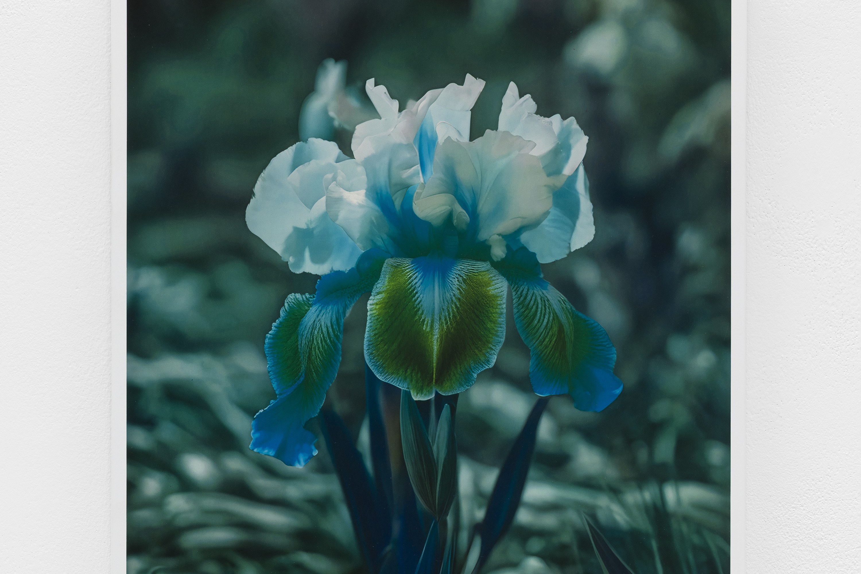 Lisa Oppenheim, image 25 of 25