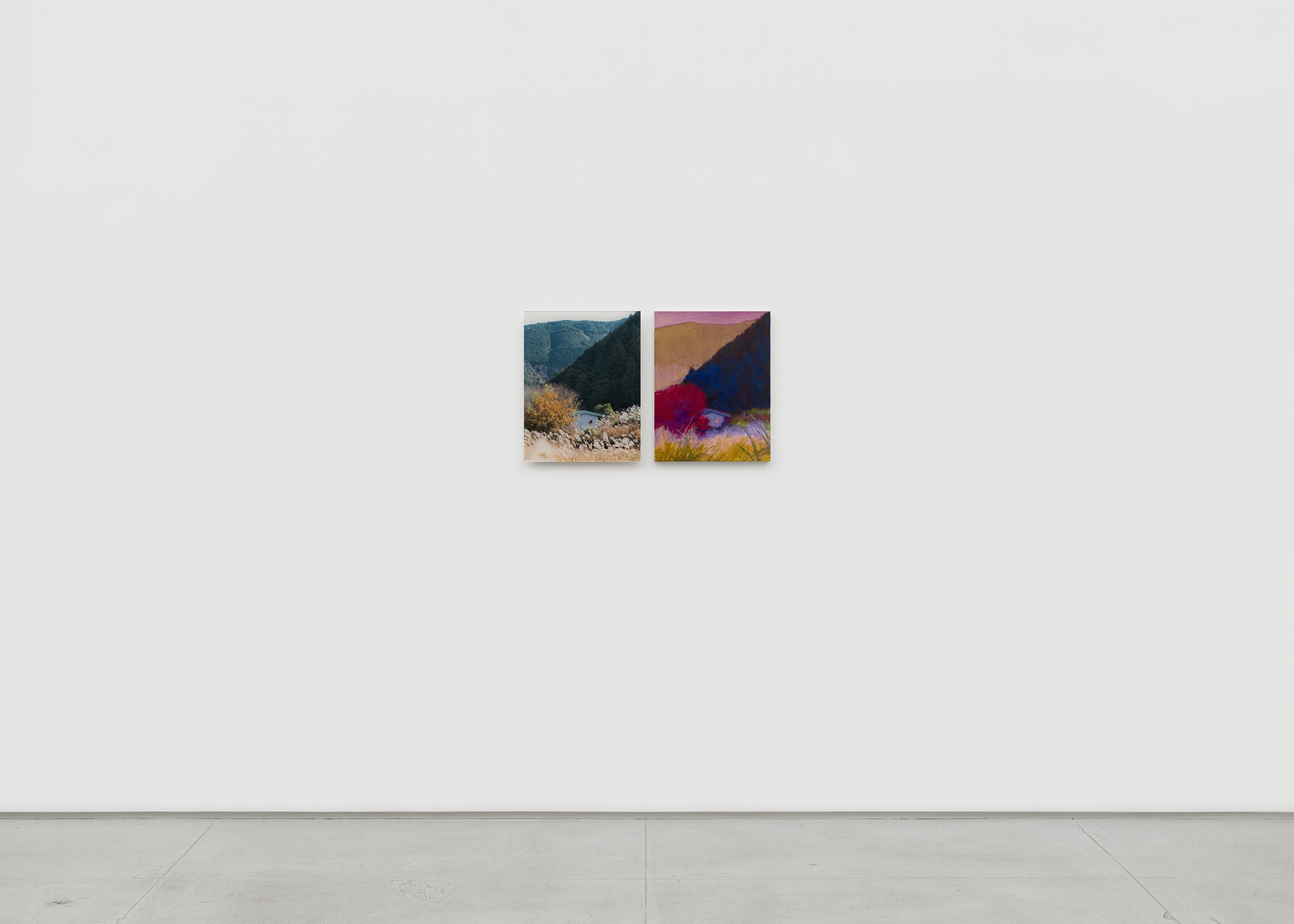 Installation view 12