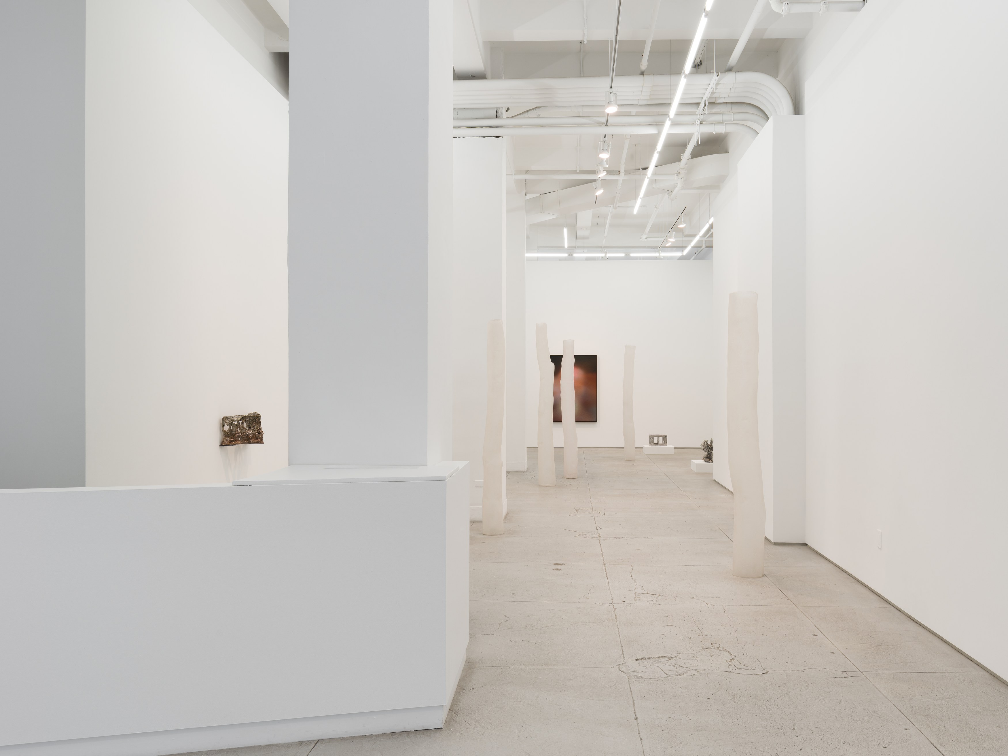 Installation view 5