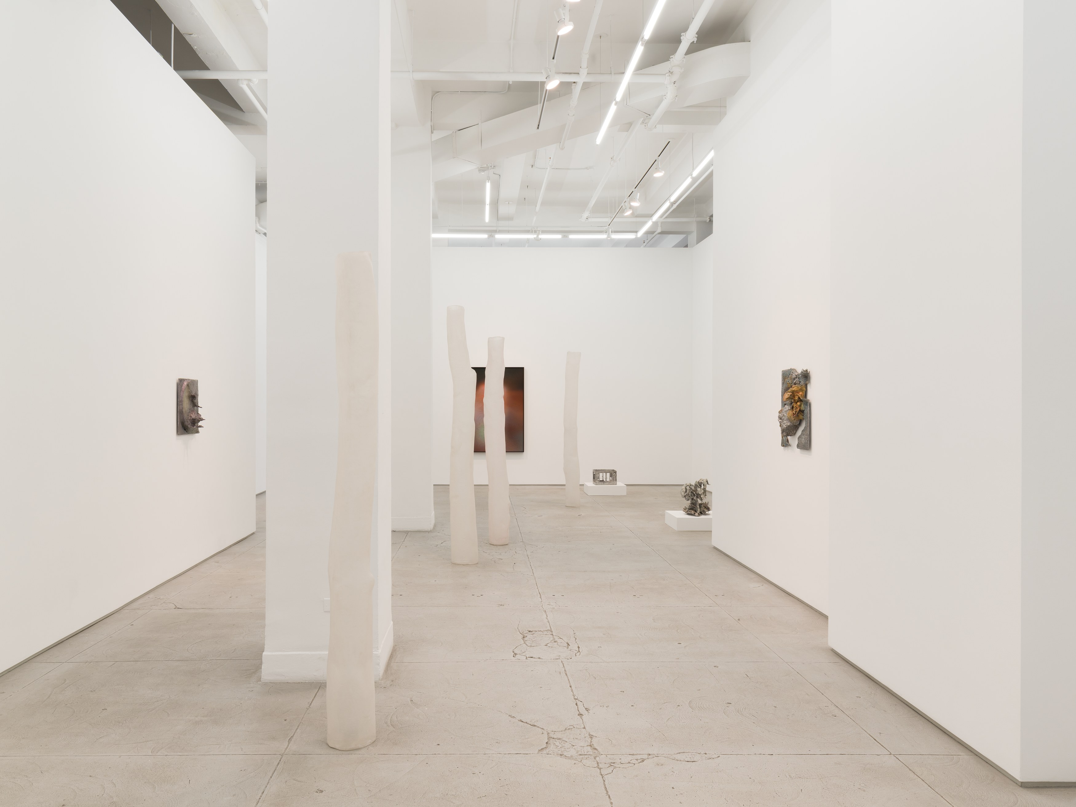 Installation view 7