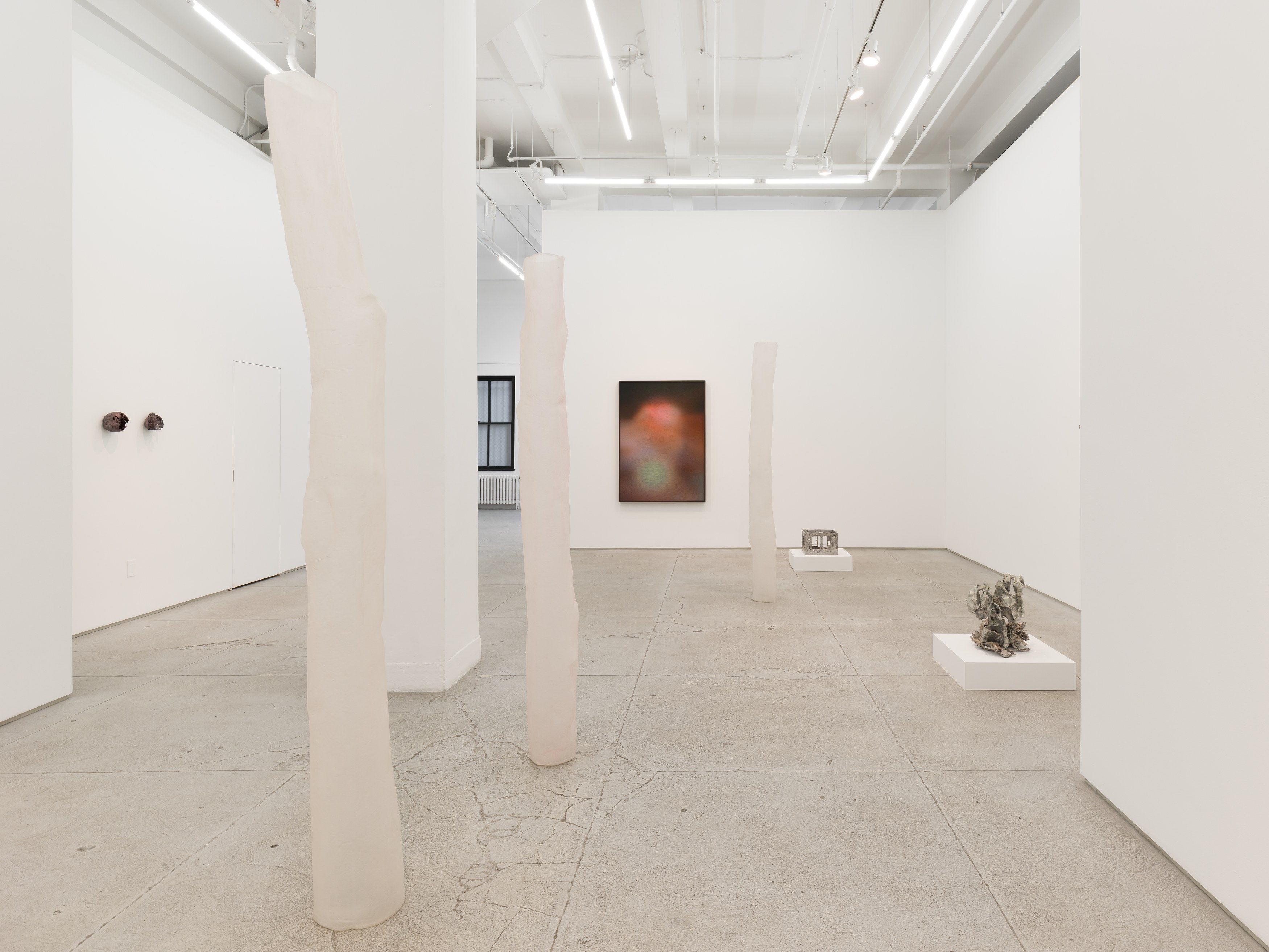 Installation view 8