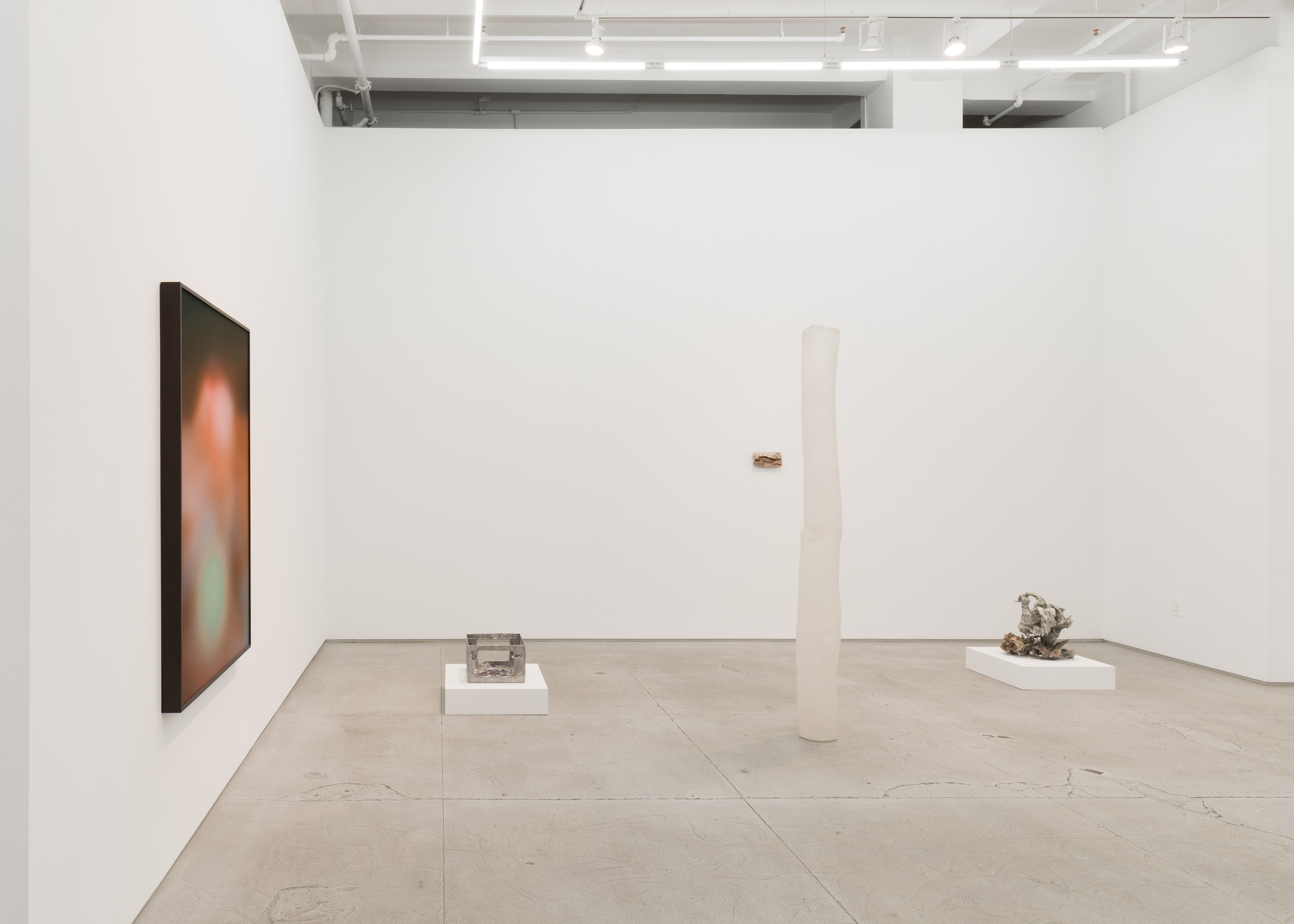 Installation view 12