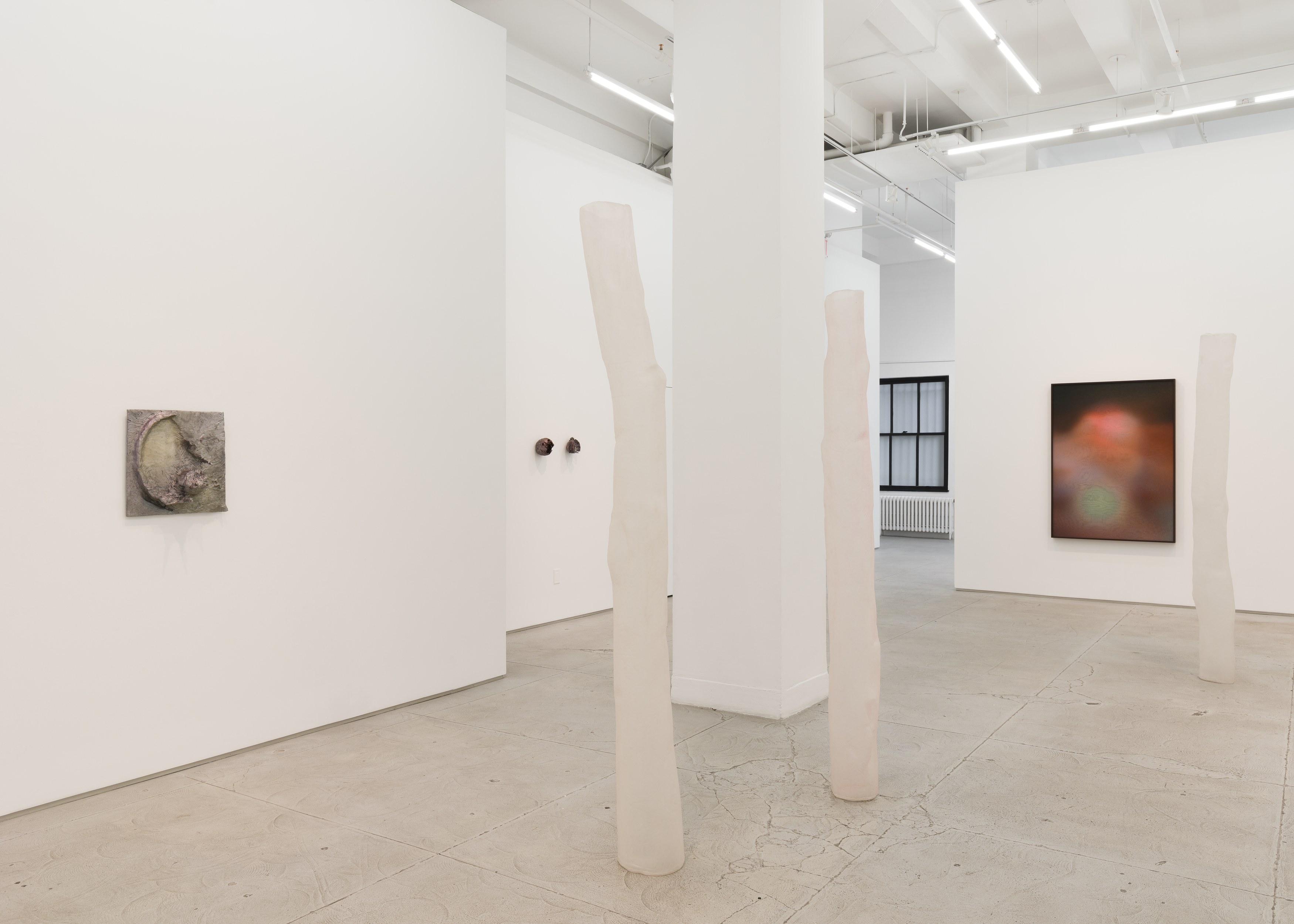 Rosha Yaghmai, Roving Wire at Chapter NY, photo 13