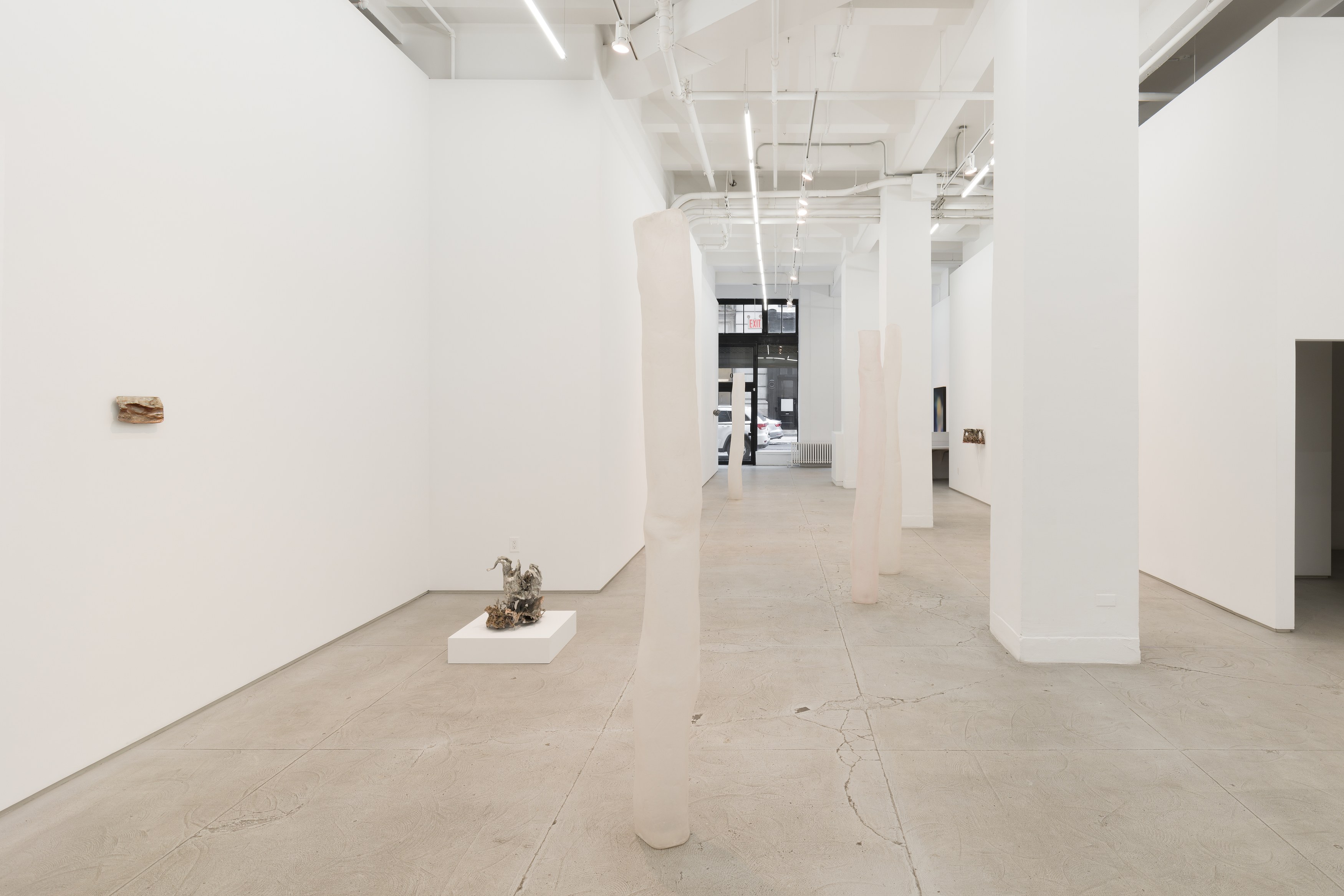 Rosha Yaghmai, Roving Wire at Chapter NY, photo 14