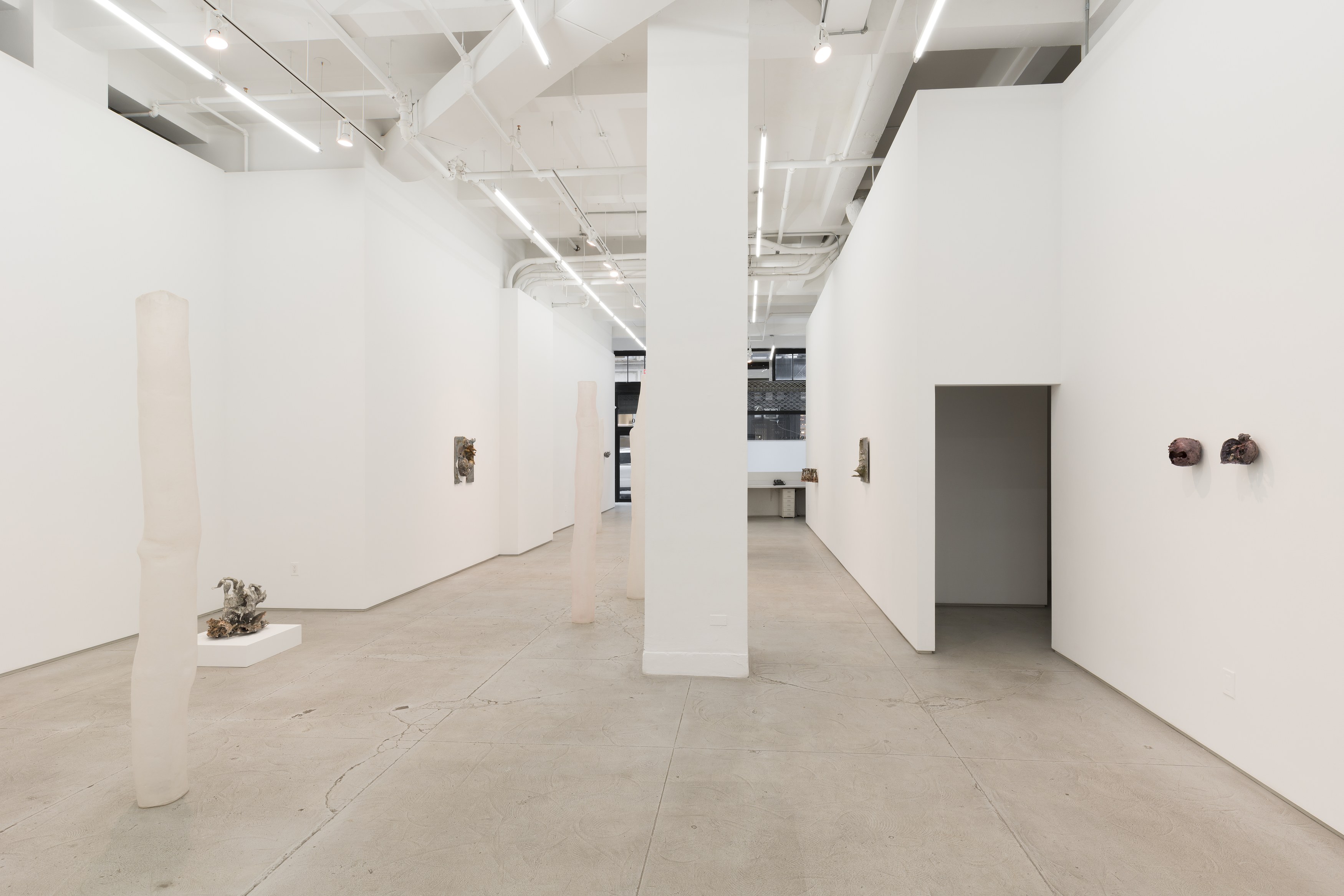 Rosha Yaghmai, Roving Wire at Chapter NY, photo 15