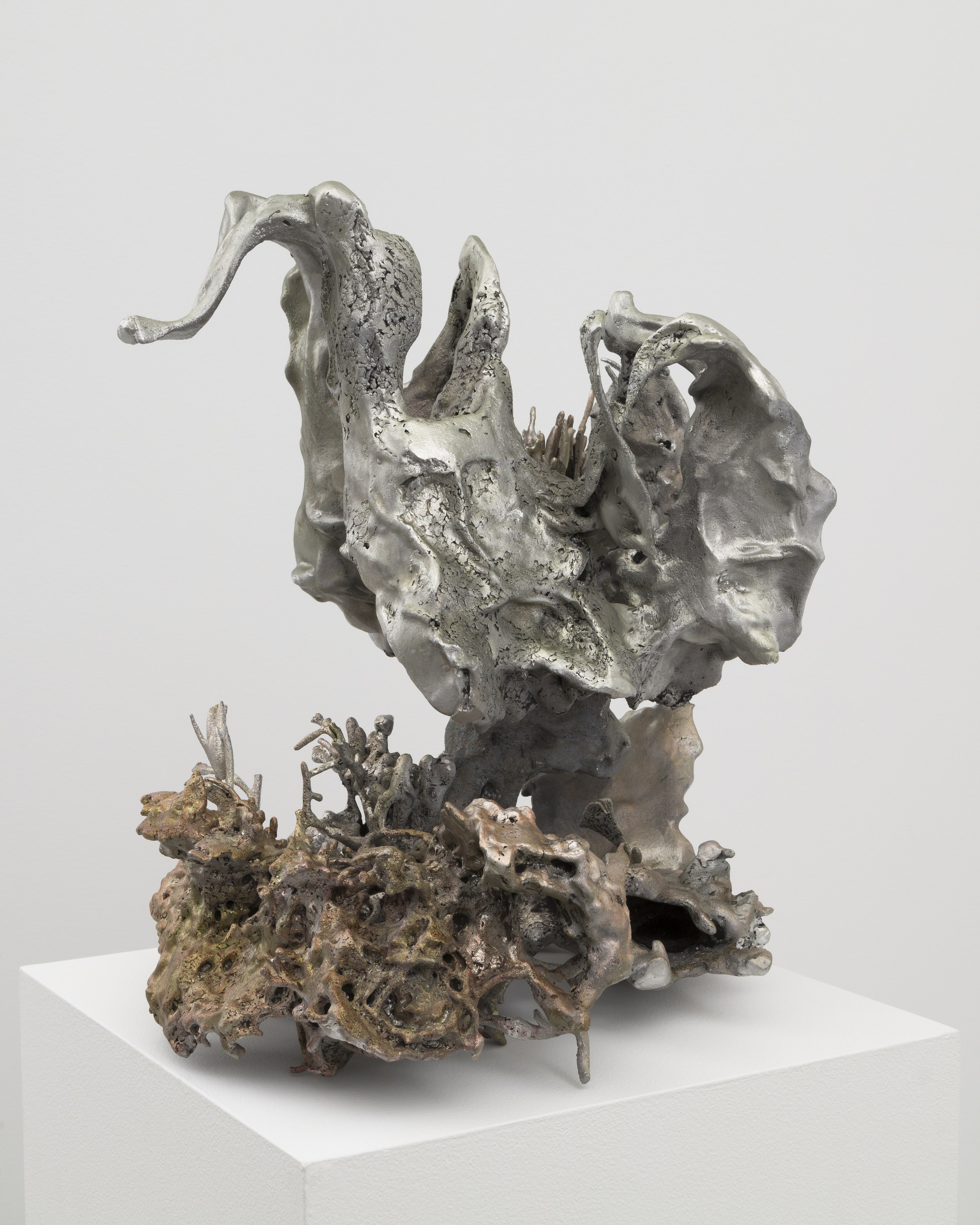 Rosha Yaghmai, Roving Wire at Chapter NY, photo 44