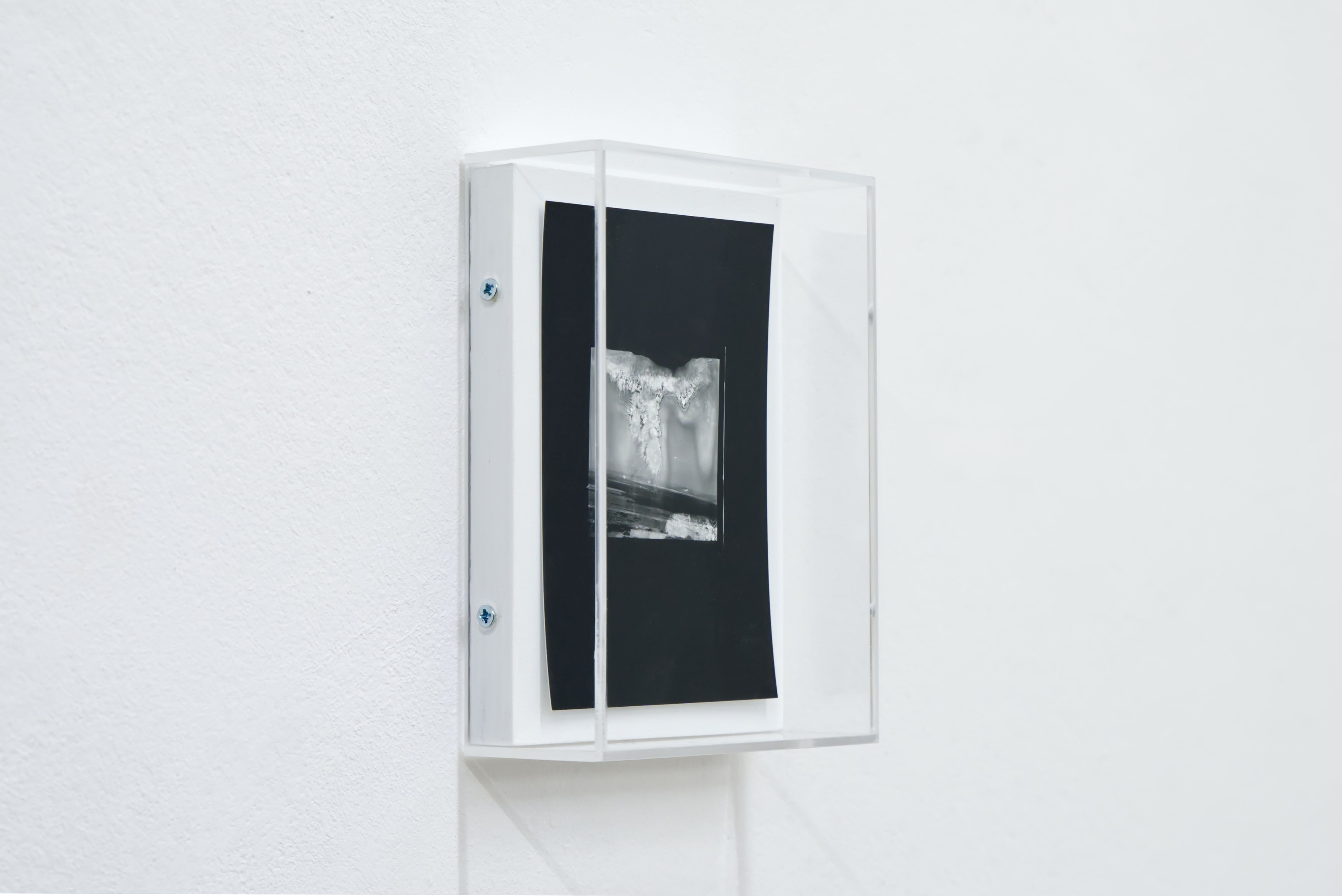 Philipp Farra, TCDD 1963–1975 at Darlings, photo 4