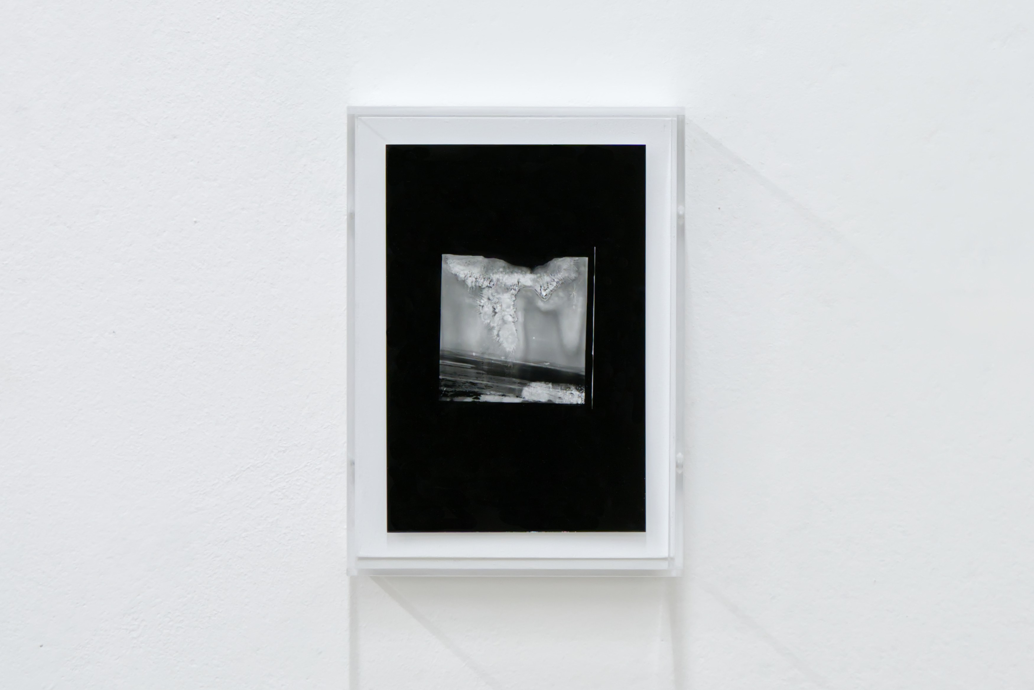 Philipp Farra, TCDD 1963–1975 at Darlings, photo 3