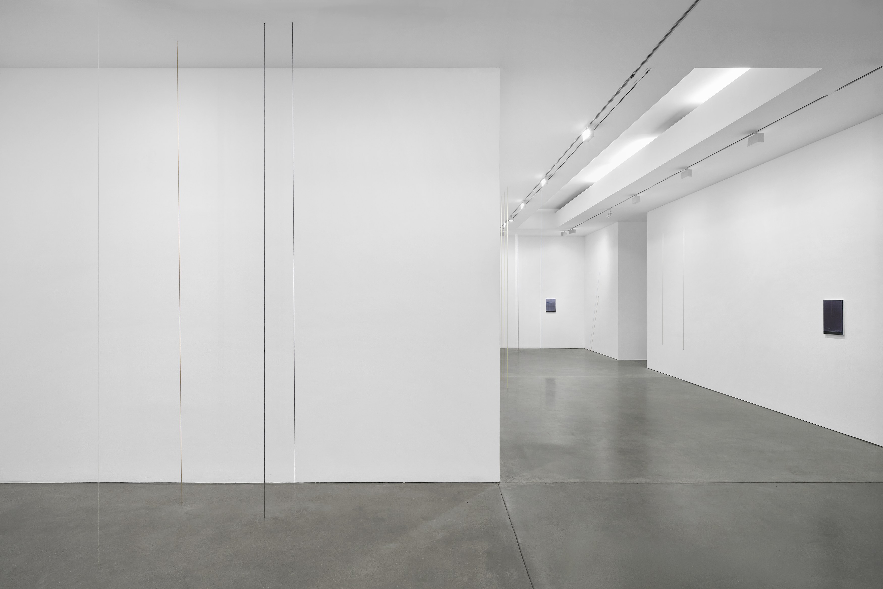 Marieta Chirulescu, Fred Sandback, image 3 of 17