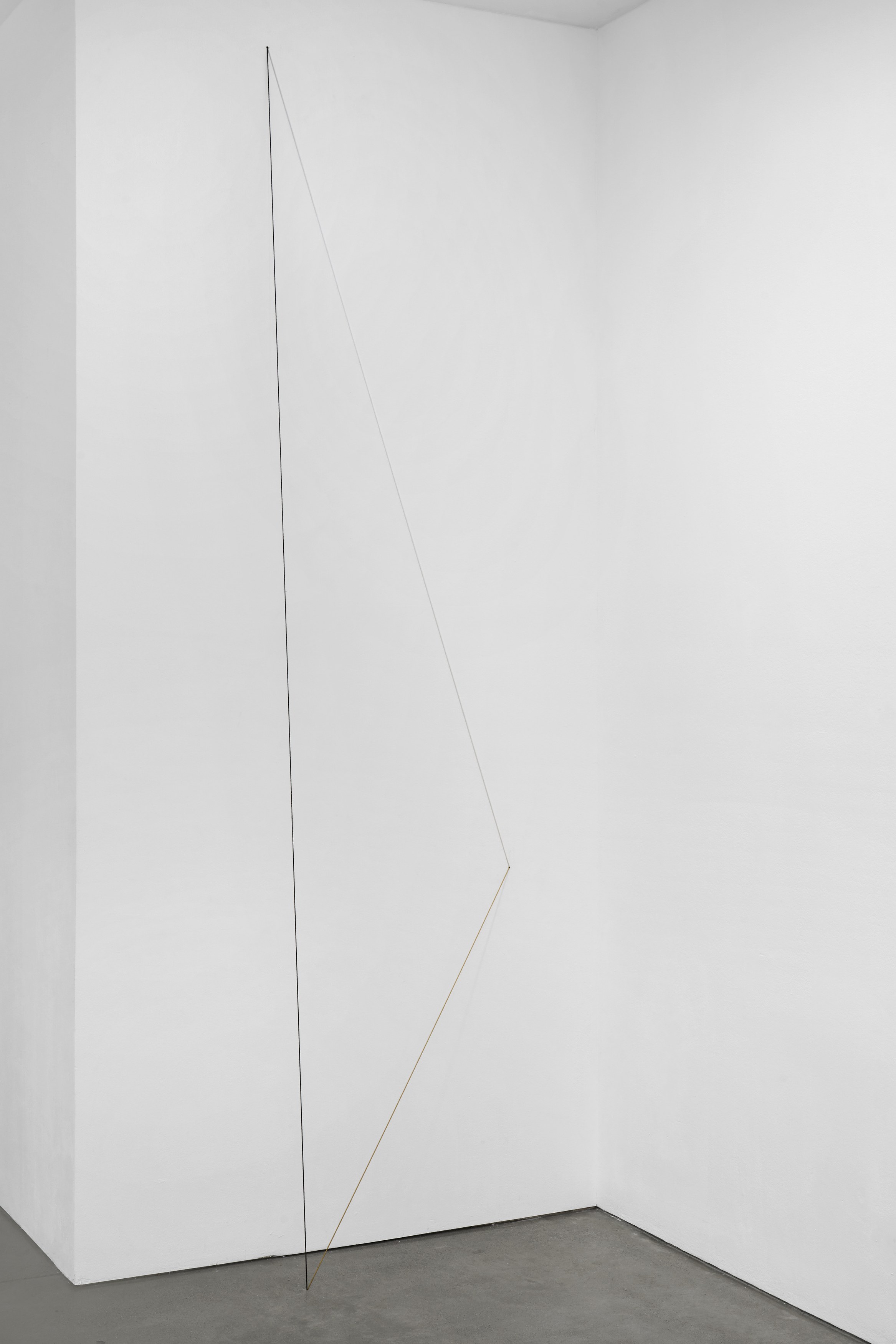 Marieta Chirulescu, Fred Sandback, image 12 of 17