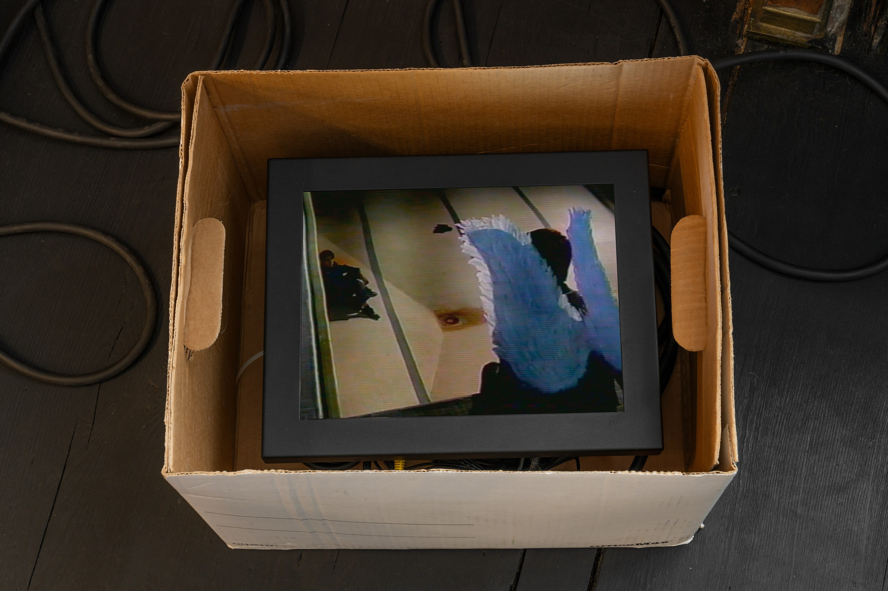 Calla Henkel & Max Pitegoff, image 5 of 26