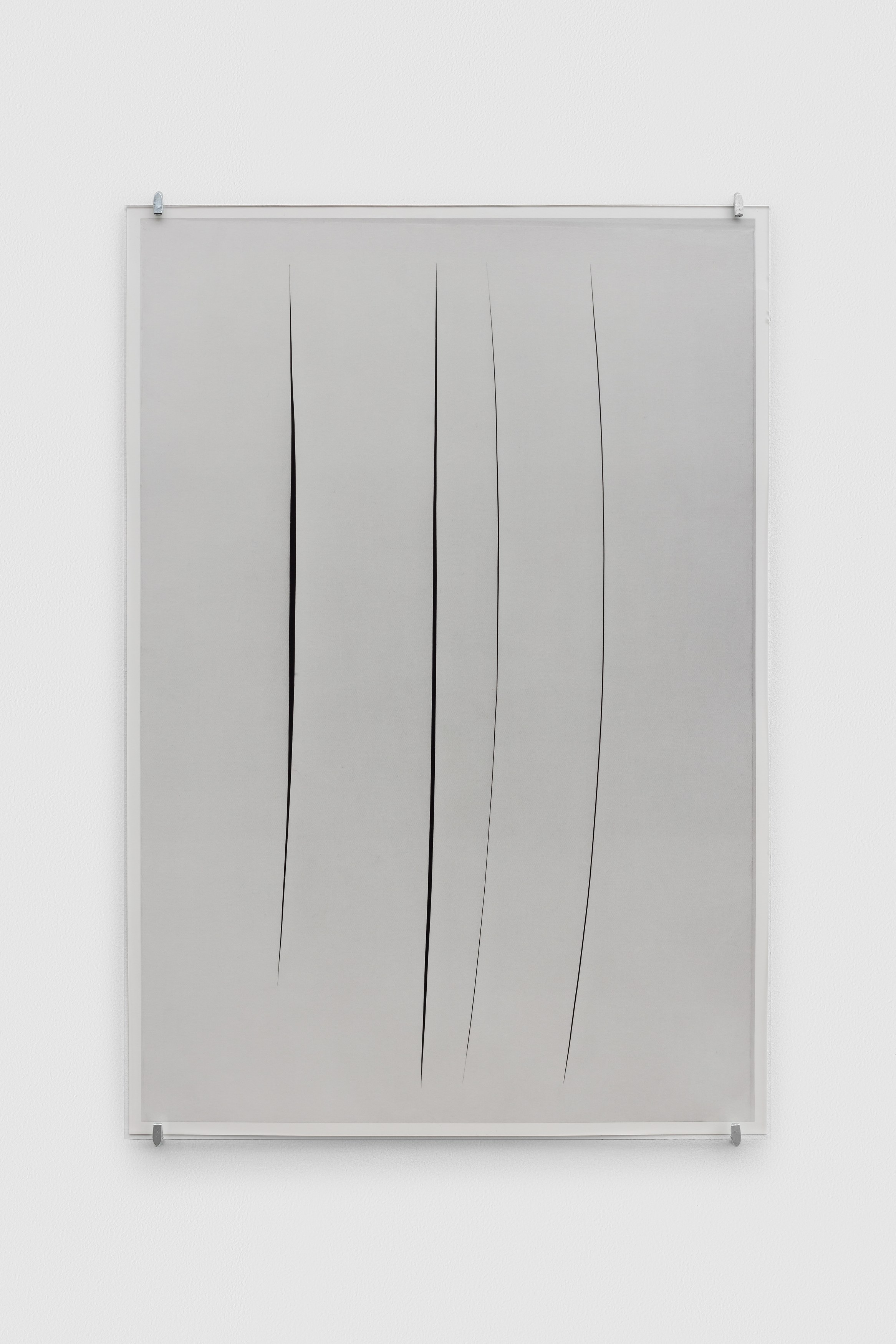 Kazuna Taguchi, image 11 of 11