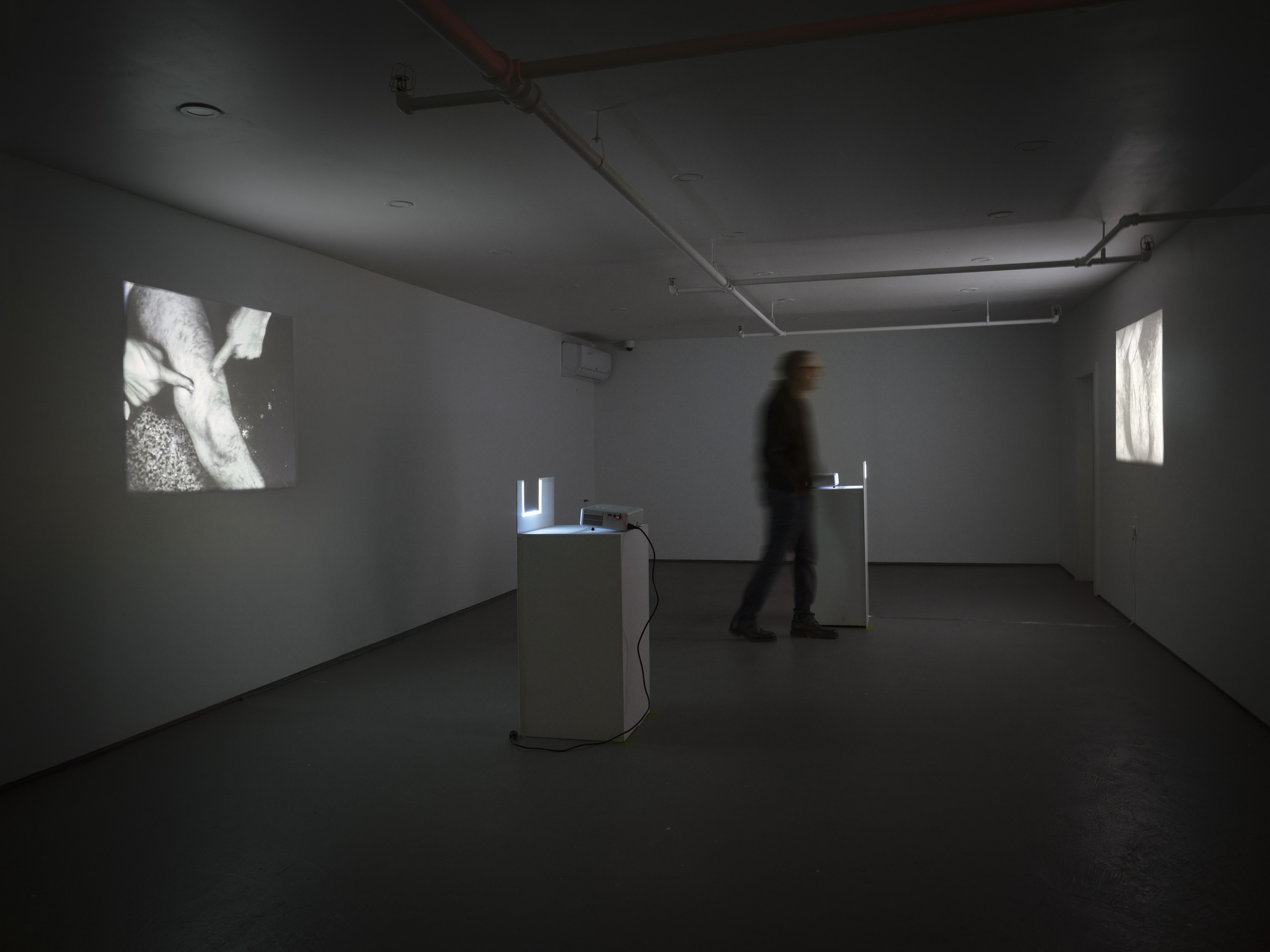 Hans Bellmer, Bruce Nauman, Bellmer Nauman Pondick: Material Desire at Nunu Fine Art, photo 16