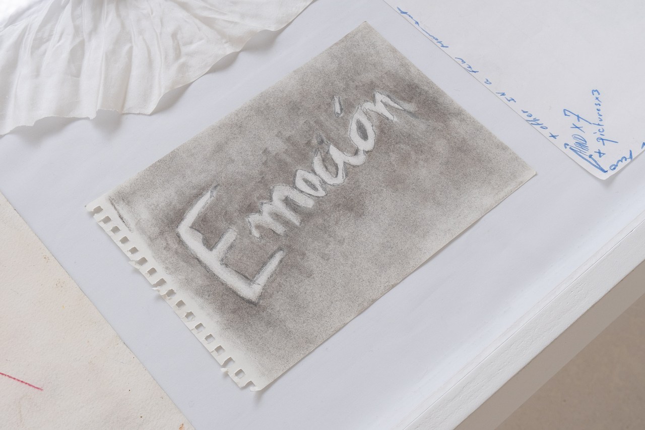 Bruno Pélassy, Perla Zuñiga at Taon