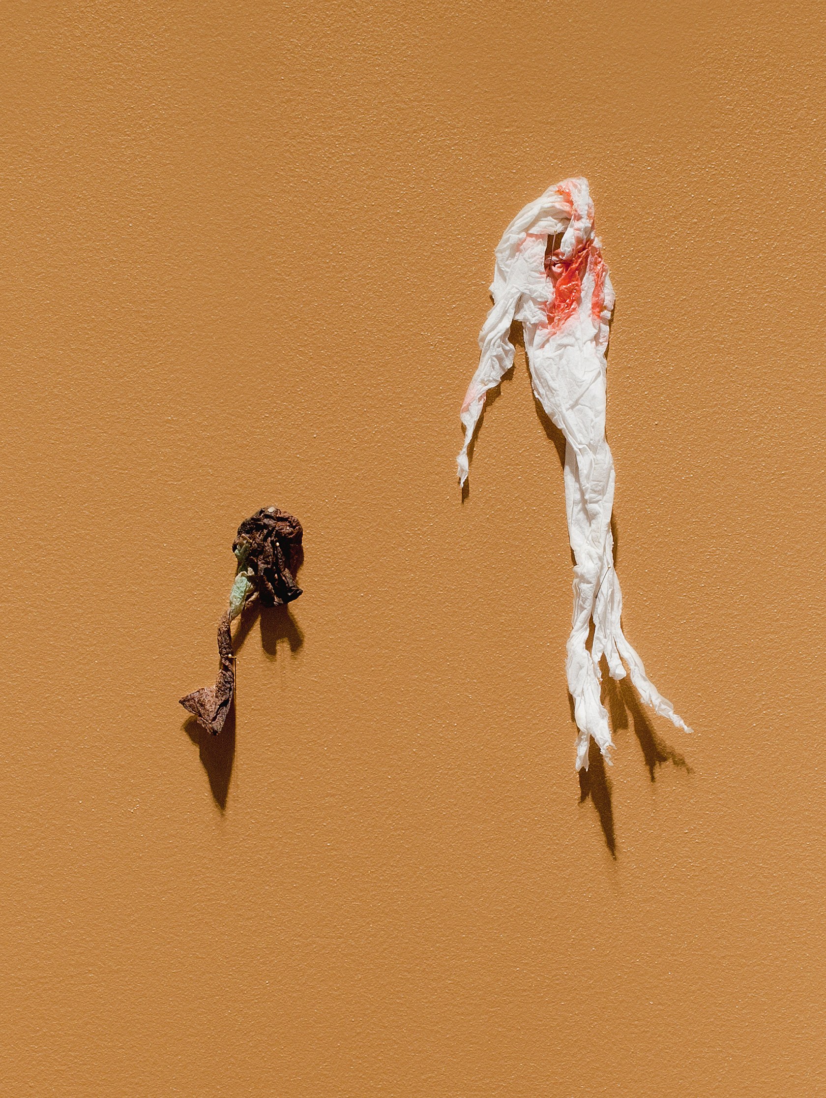 Reckless Head, Reckless Head at Michael Benevento Gallery, photo 34