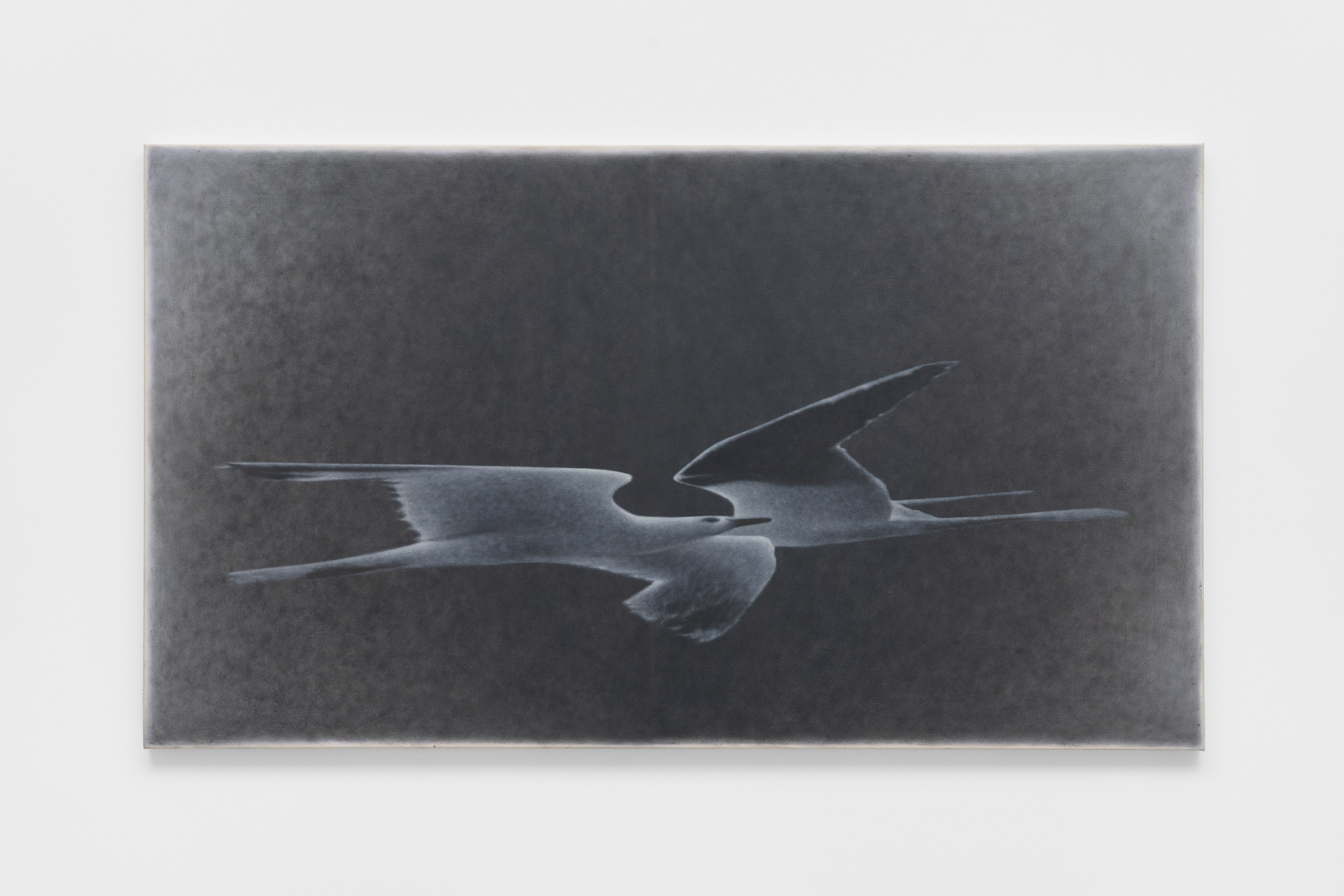 Sebastian Black, Camille Blatrix, Grichka Commaret, Guillaume Dénervaud, Dana Lok, Soshiro Matsubara, Ian Miyamura, Alexandra Noel, Leigh Ruple, Lauren Satlowski, Erin Calla Watson, image 47 of 55