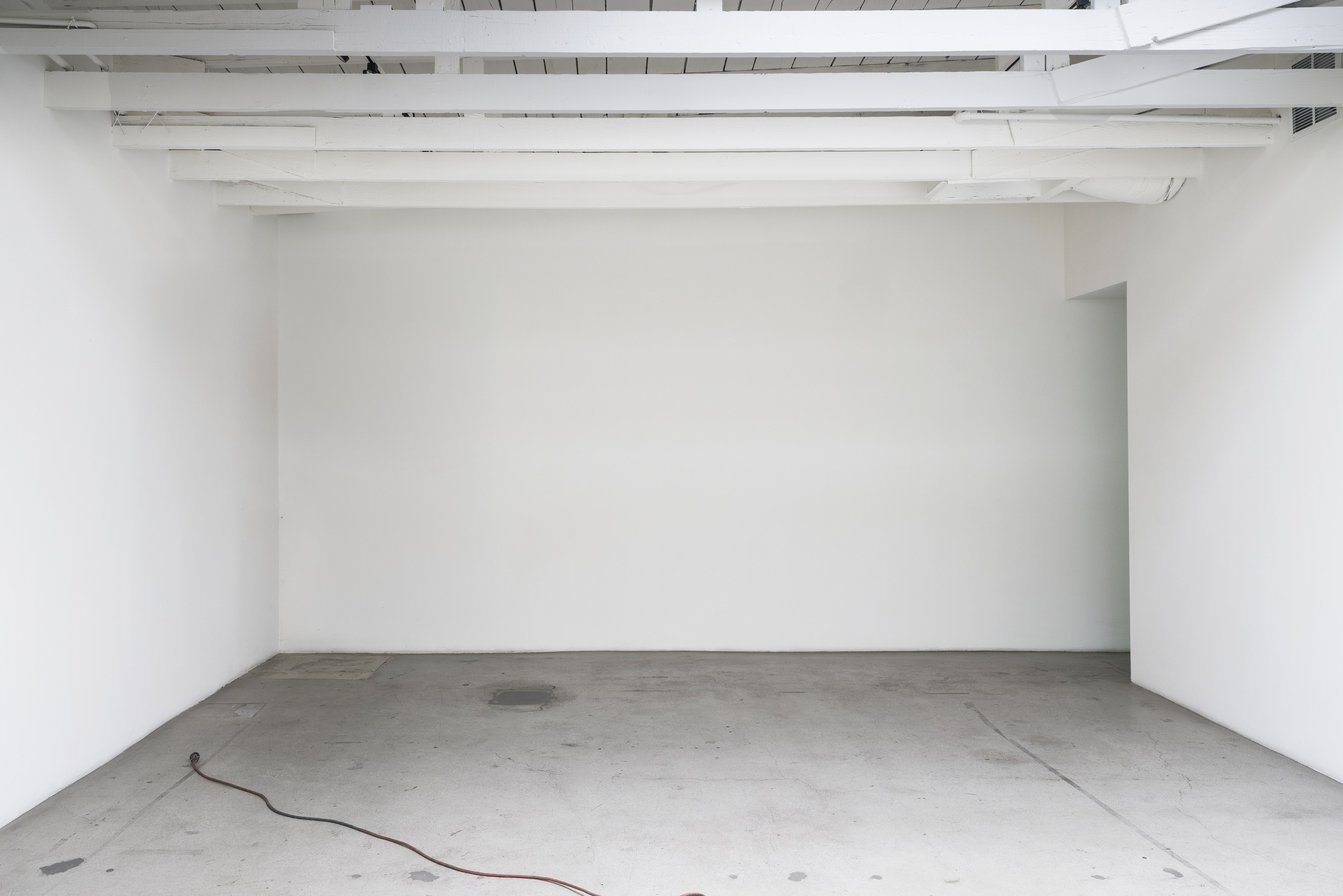 Benjamin Echeverria, Smit at Michael Benevento Gallery, photo 13