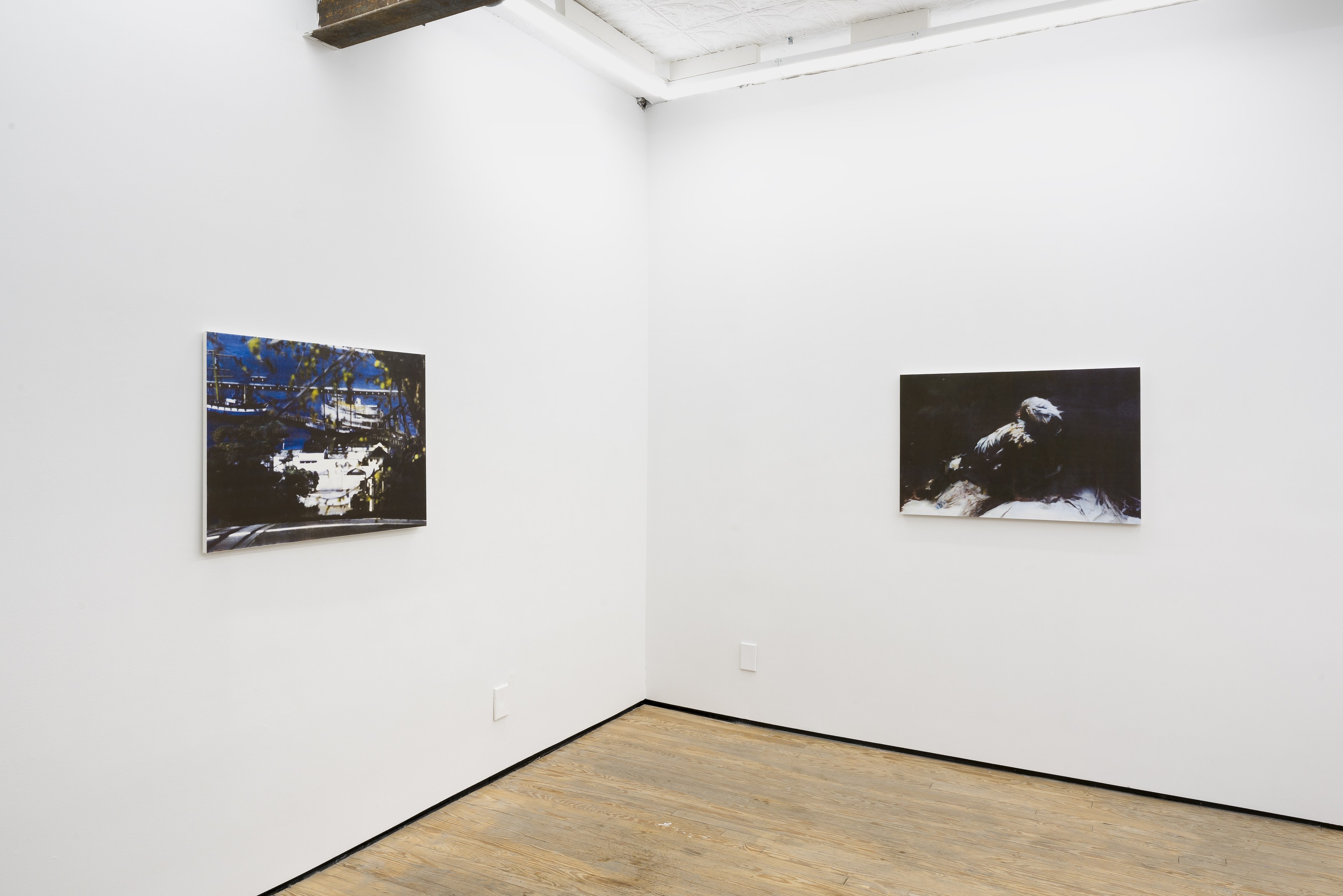 Noémie Degen/Simon Jaton, Iris at King's Leap, photo 4