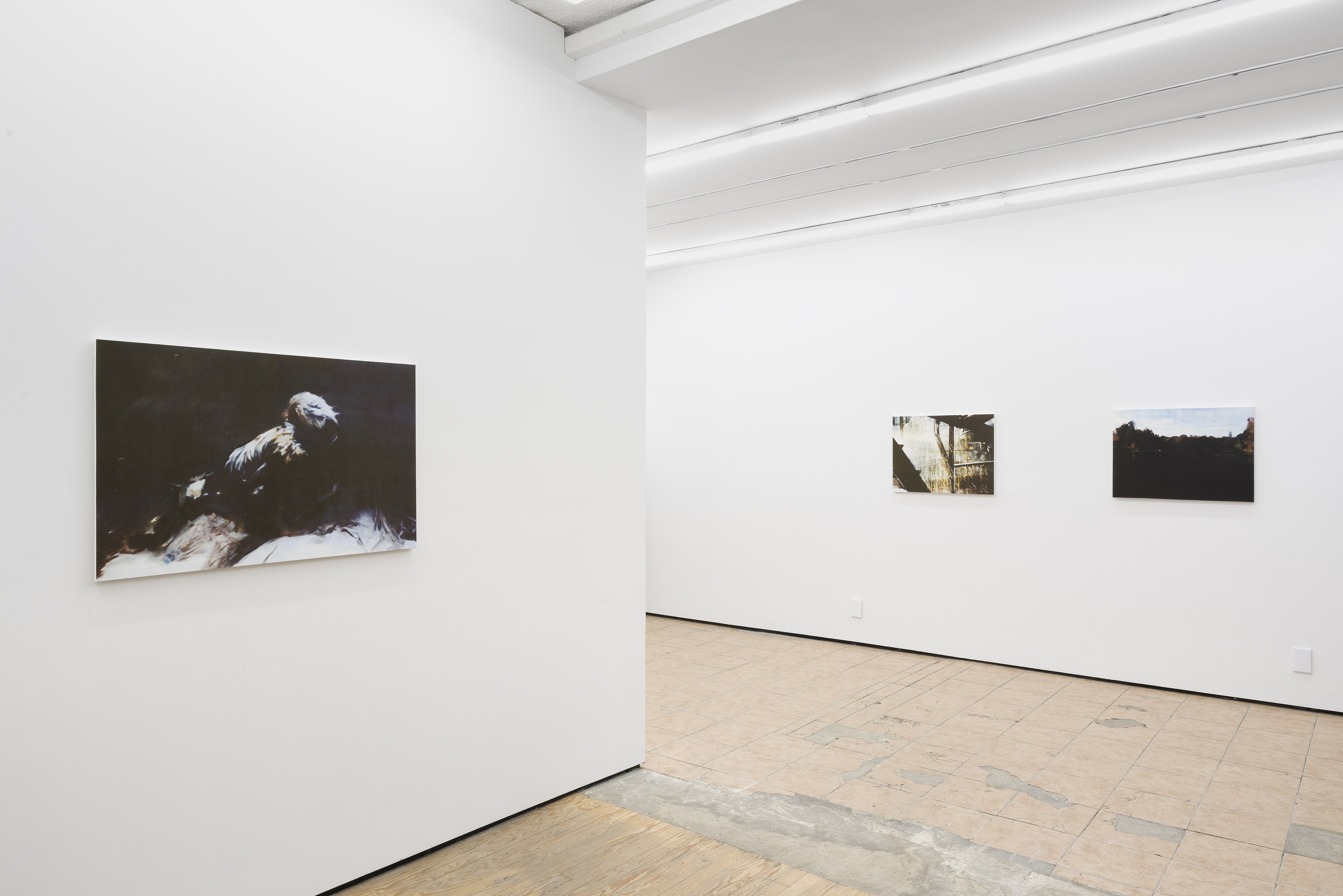 Noémie Degen/Simon Jaton, Iris at King's Leap, photo 6