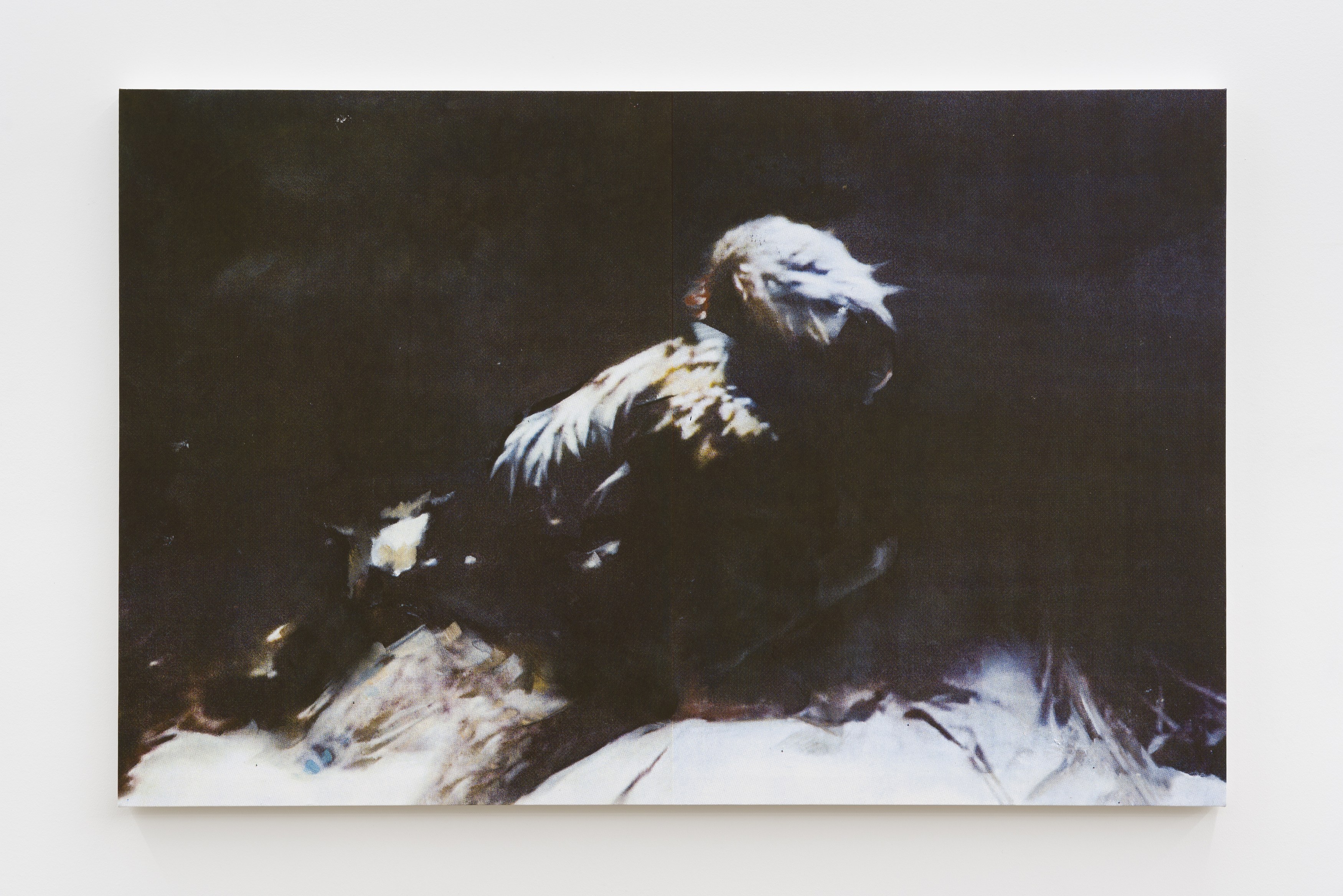 Noémie Degen/Simon Jaton, Iris at King's Leap, photo 5