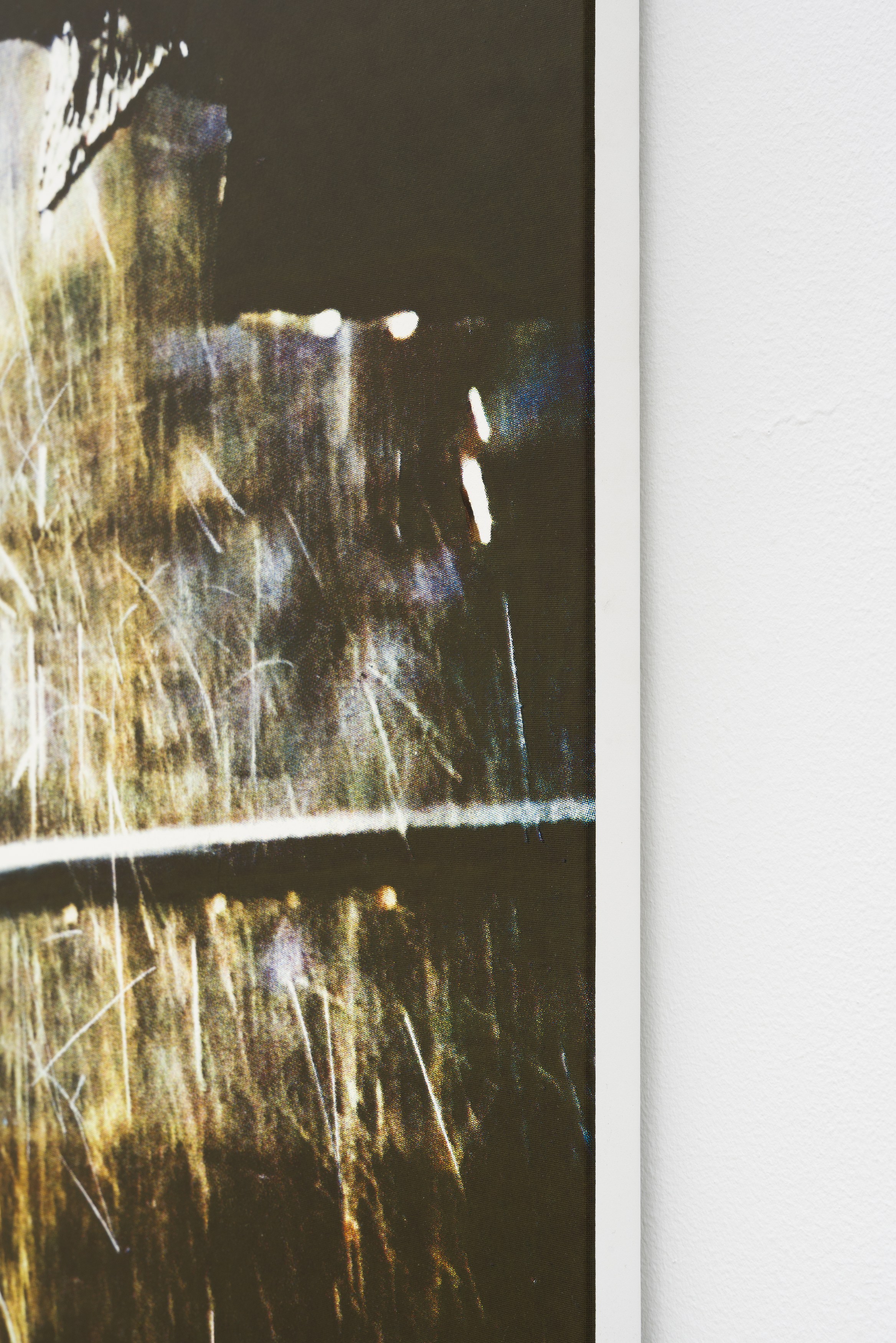 Noémie Degen/Simon Jaton, Iris at King's Leap, photo 9