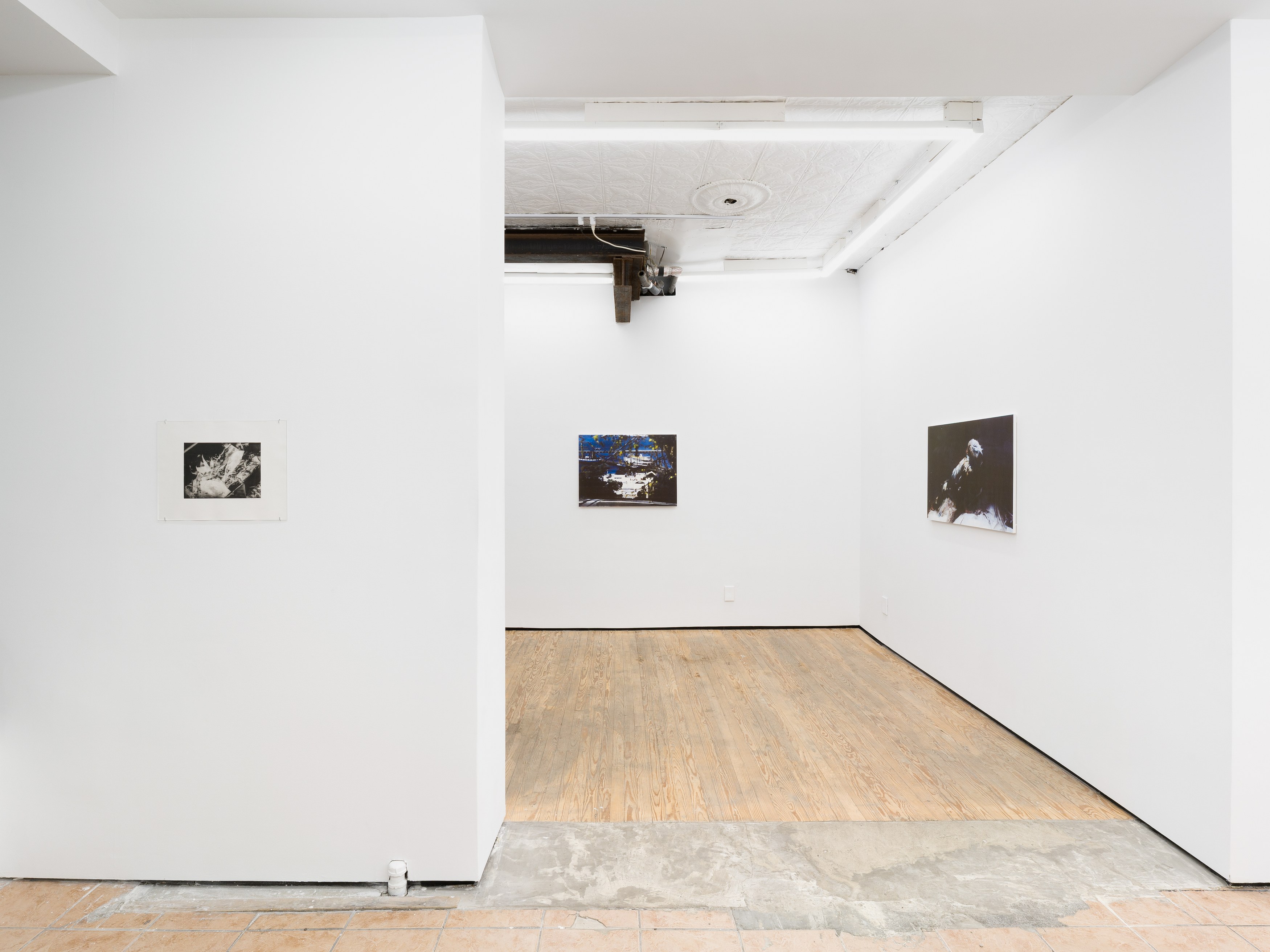 Noémie Degen/Simon Jaton, Iris at King's Leap, photo 13
