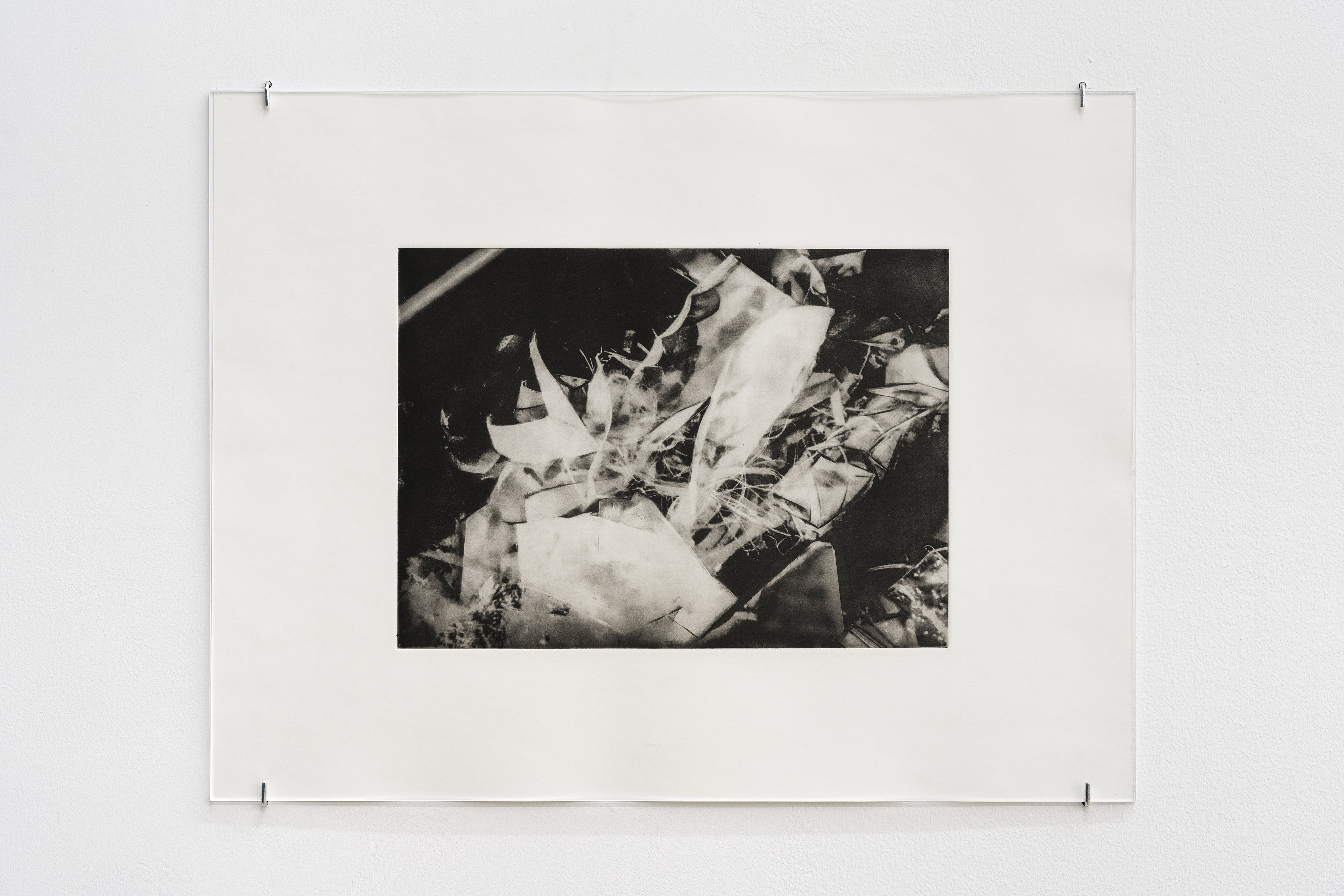 Noémie Degen/Simon Jaton, Iris at King's Leap, photo 14