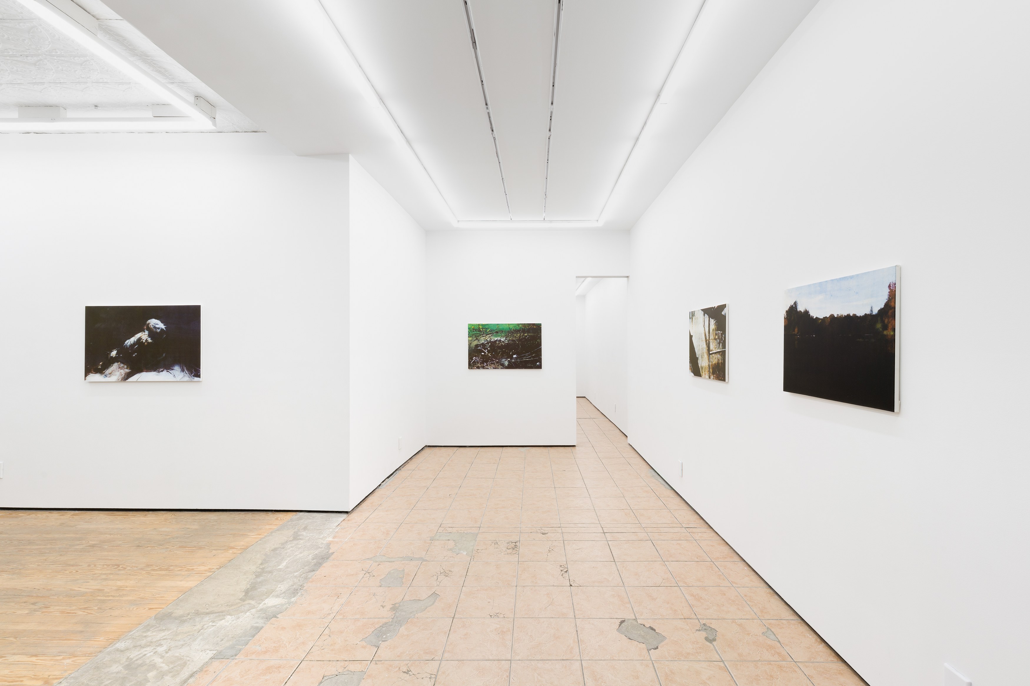 Noémie Degen/Simon Jaton, Iris at King's Leap, photo 15