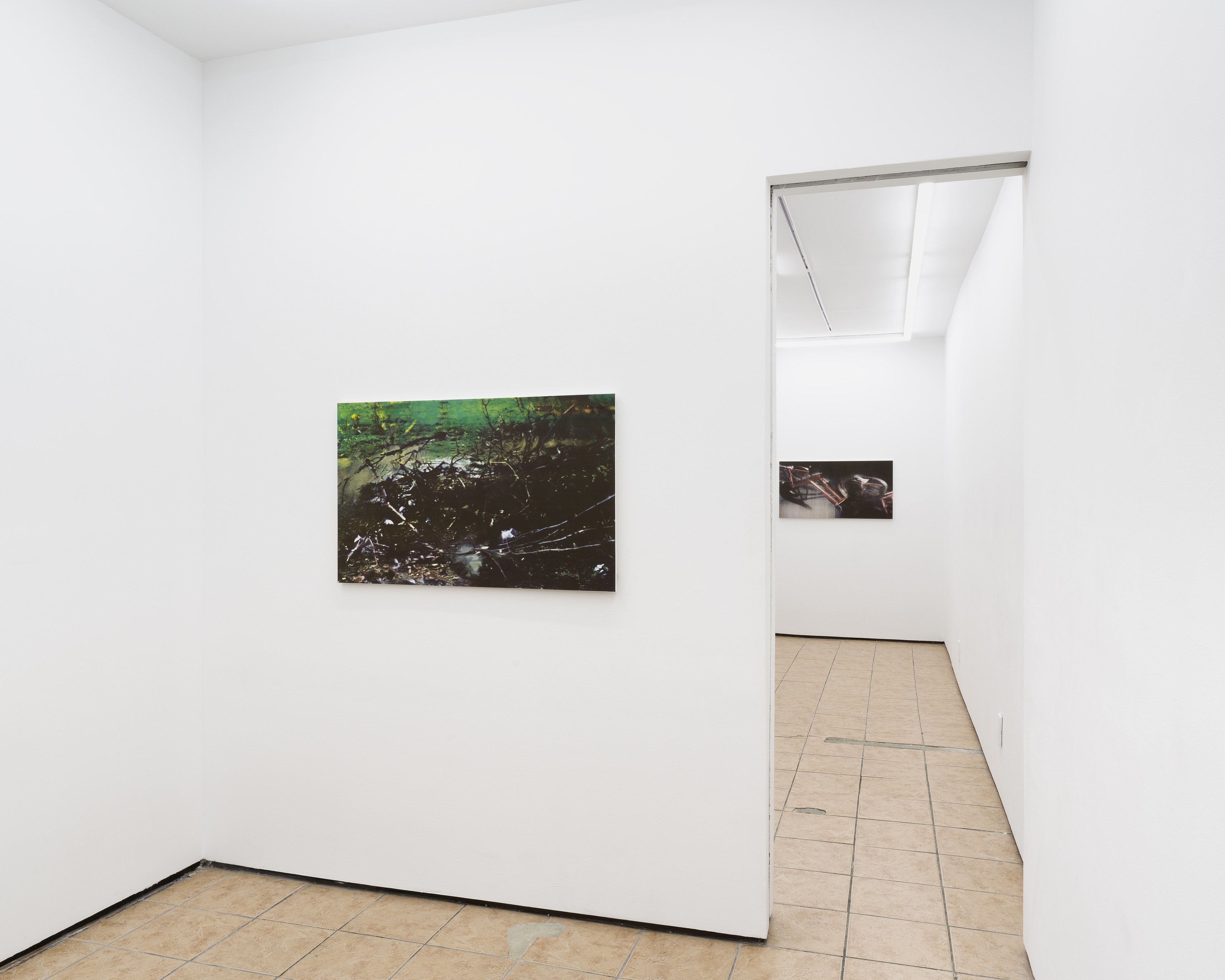 Noémie Degen/Simon Jaton, Iris at King's Leap, photo 16