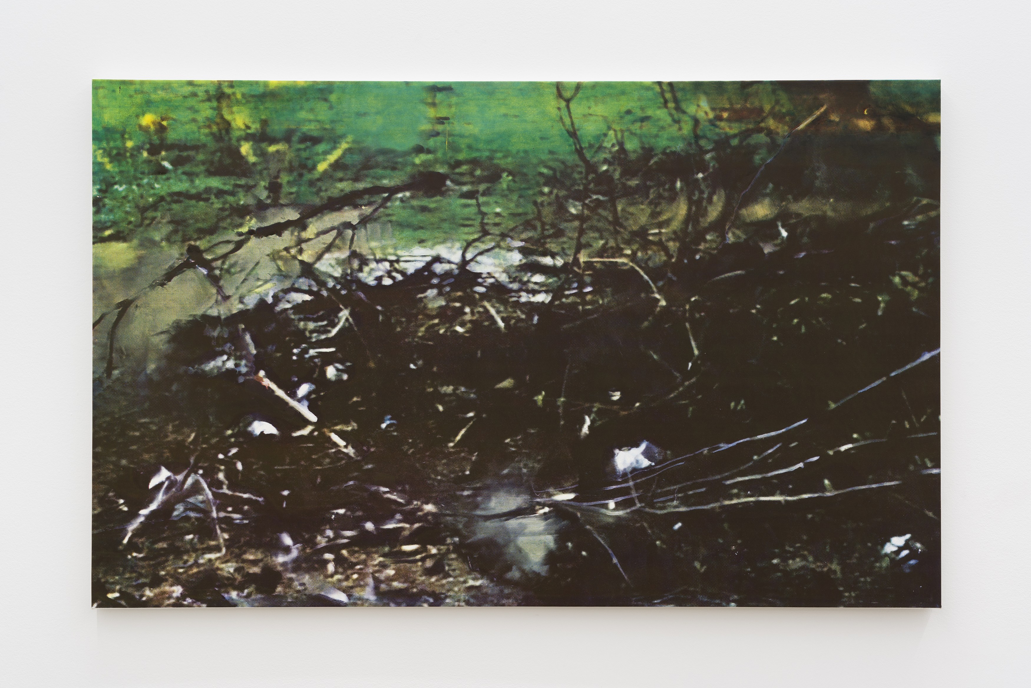 Noémie Degen/Simon Jaton, Iris at King's Leap, photo 17