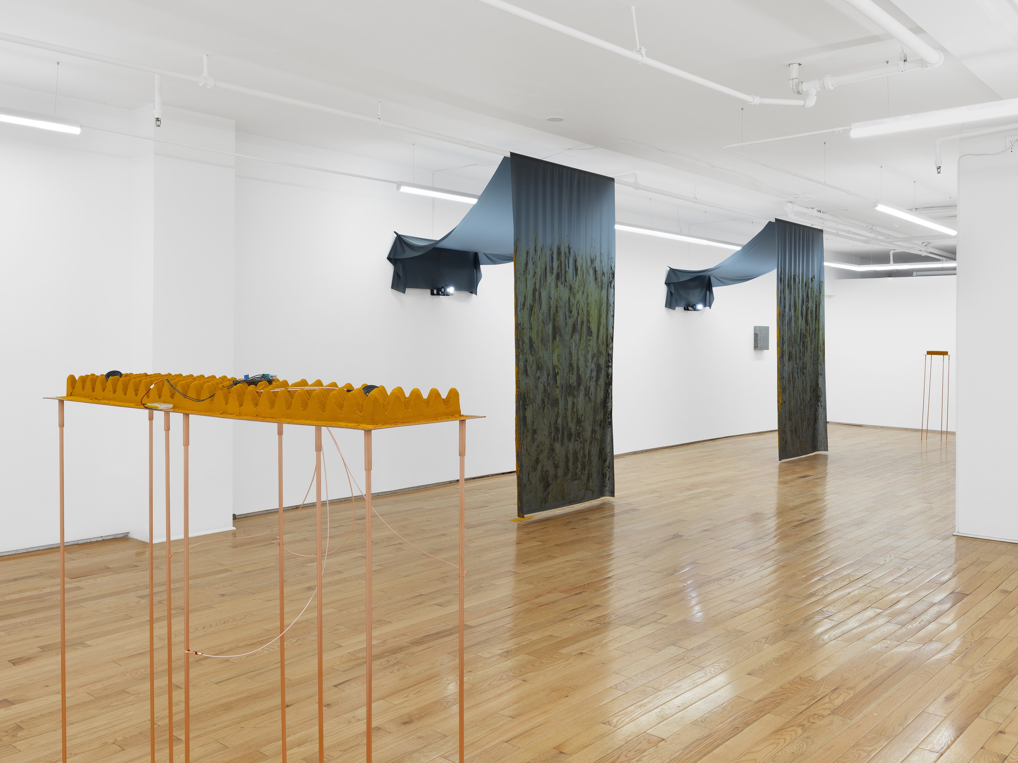 Hings Lim, Throughput at Island, photo 5